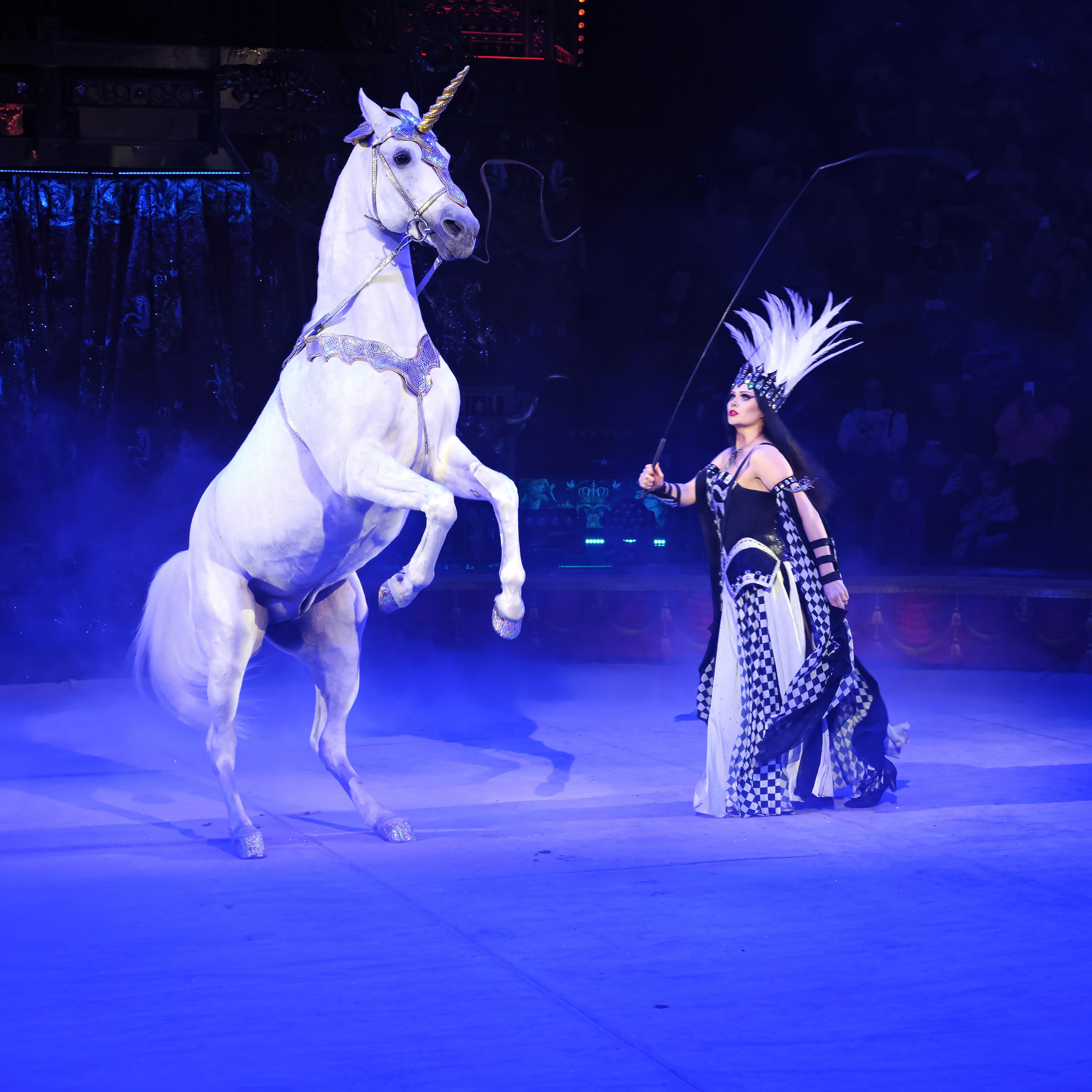Шоу «Королевский цирк». Фотограф Андрей Пухов (Jazz)