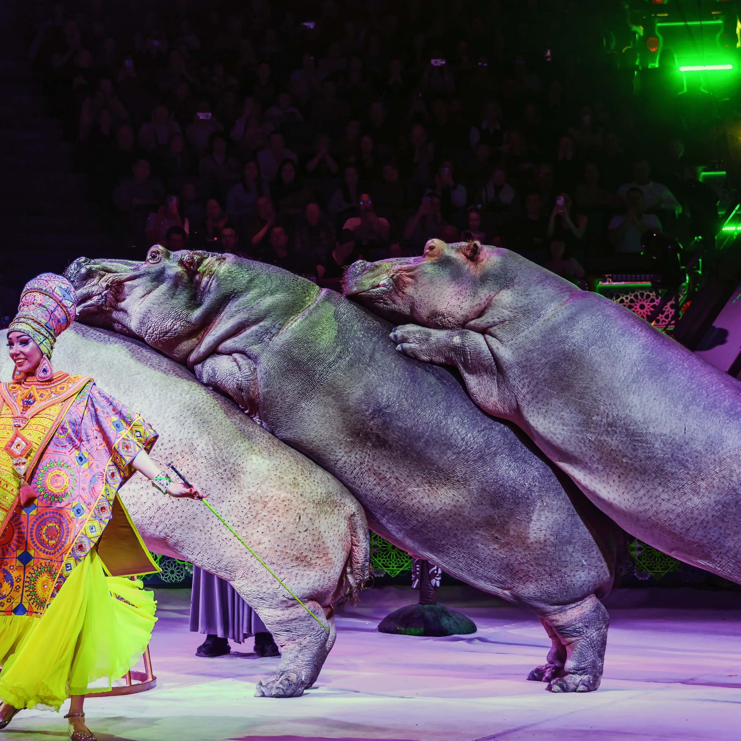 Песчаная сказка Гии Эрадзе — волшебное шоу 🎪, которое должен увидеть каждый, кто ценит красоту🌹, талант 🎭 и умение мечтать 💫. Цирковой фотограф Андрей Пухов (Jazz)