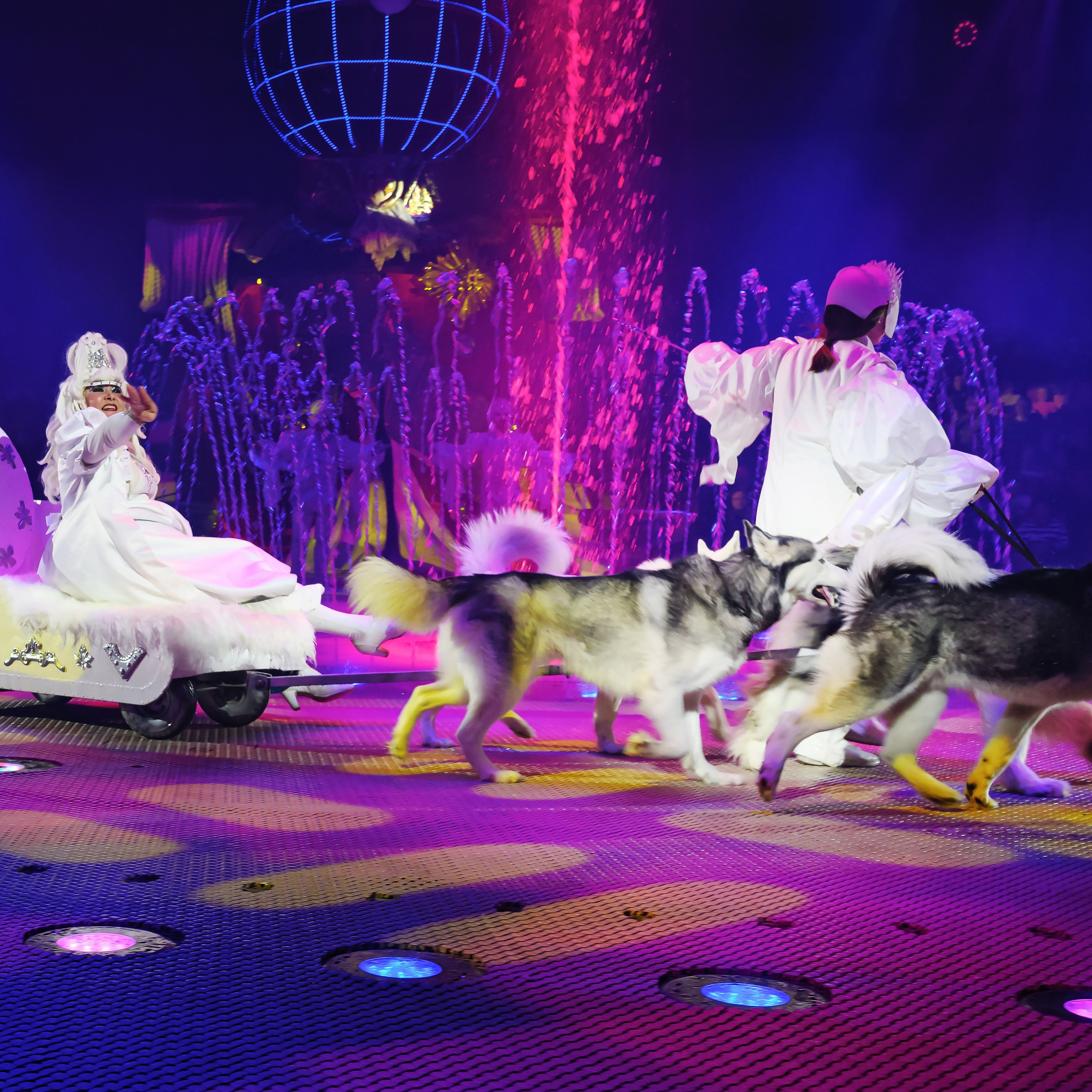 Шоу фонтанов «Принц цирка» 🎪 09.11.2024. Фотограф Андрей Пухов (Jazz)