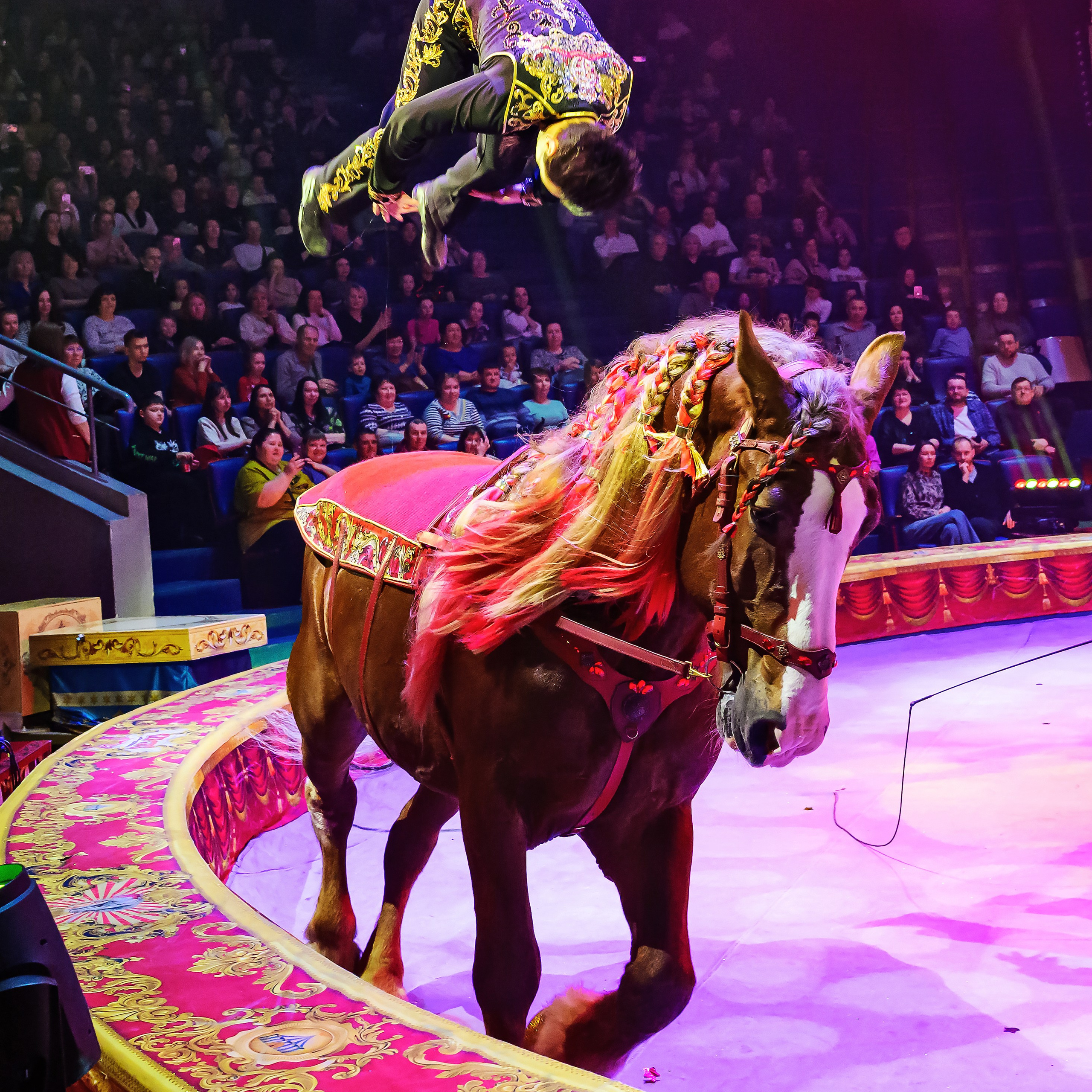 Royal Circus (новые номера). Фотограф Андрей Пухов (Jazz)