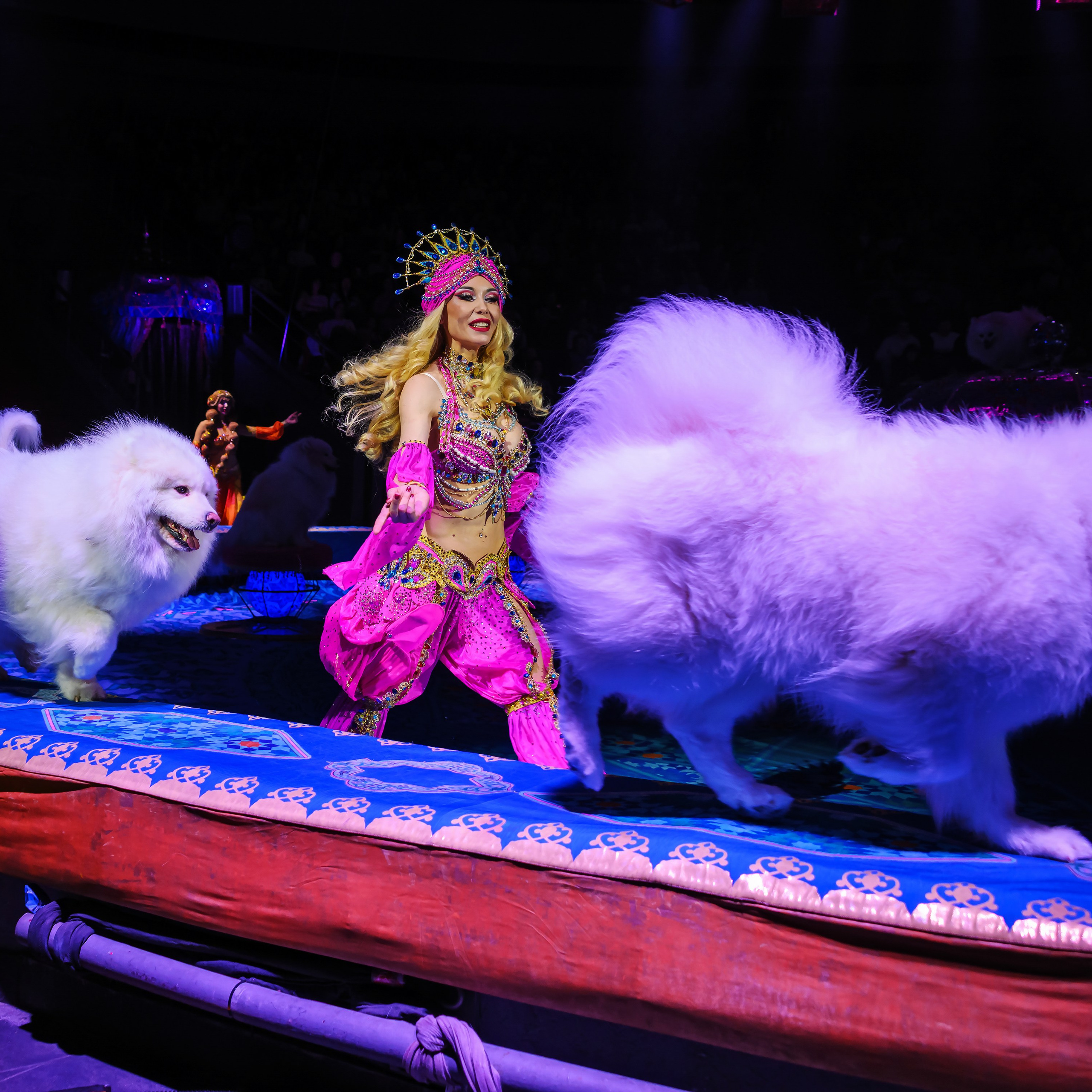 Песчаная сказка Гии Эрадзе — волшебное шоу 🎪, которое должен увидеть каждый, кто ценит красоту🌹, талант 🎭 и умение мечтать 💫. Цирковой фотограф Андрей Пухов (Jazz)