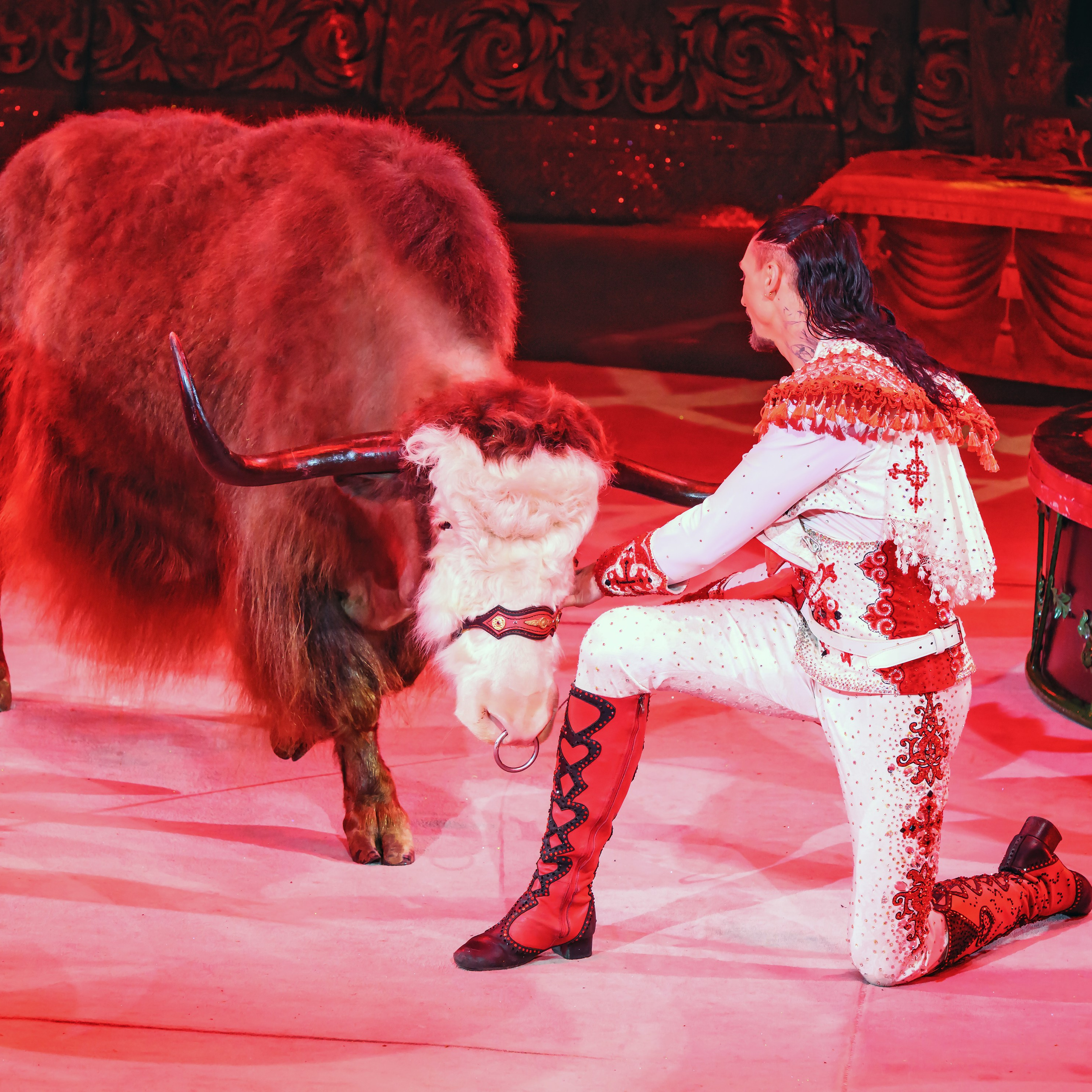 Королевский цирк ПРЕМЬЕРА НН. Фотограф Андрей Пухов (Jazz)