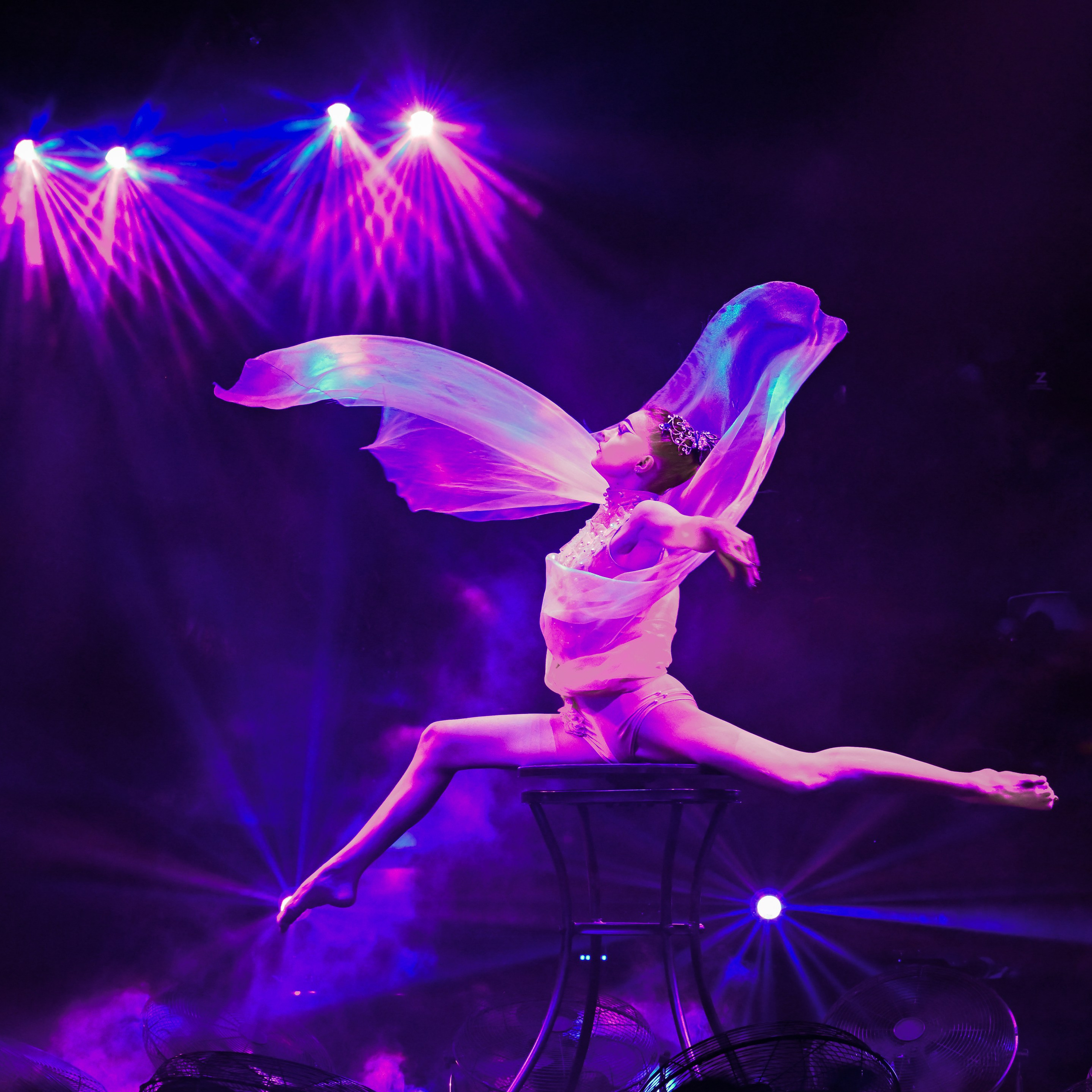 Шоу «Королевский цирк». Фотограф Андрей Пухов (Jazz)