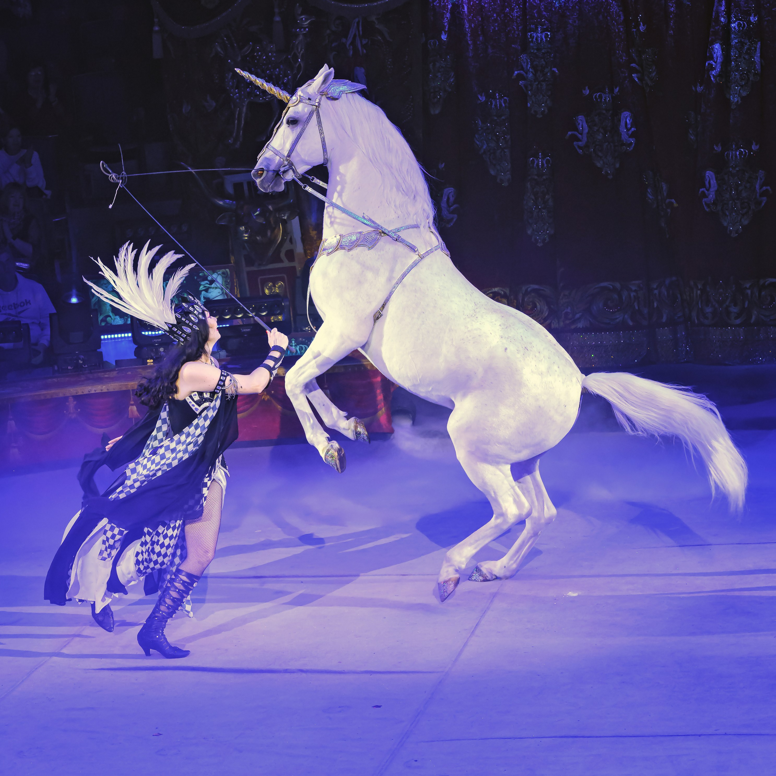 Королевский цирк ПРЕМЬЕРА НН. Фотограф Андрей Пухов (Jazz)