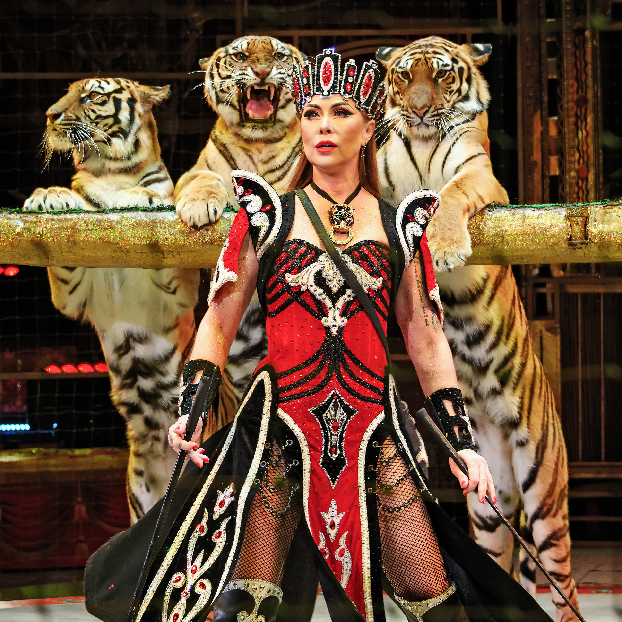 Вечное искусство удивлять: Королевский цирк Гии Эрадзе 👑 Роскошь здесь в каждой детали 💫✨⭐. Фотограф Андрей Пухов (Jazz)