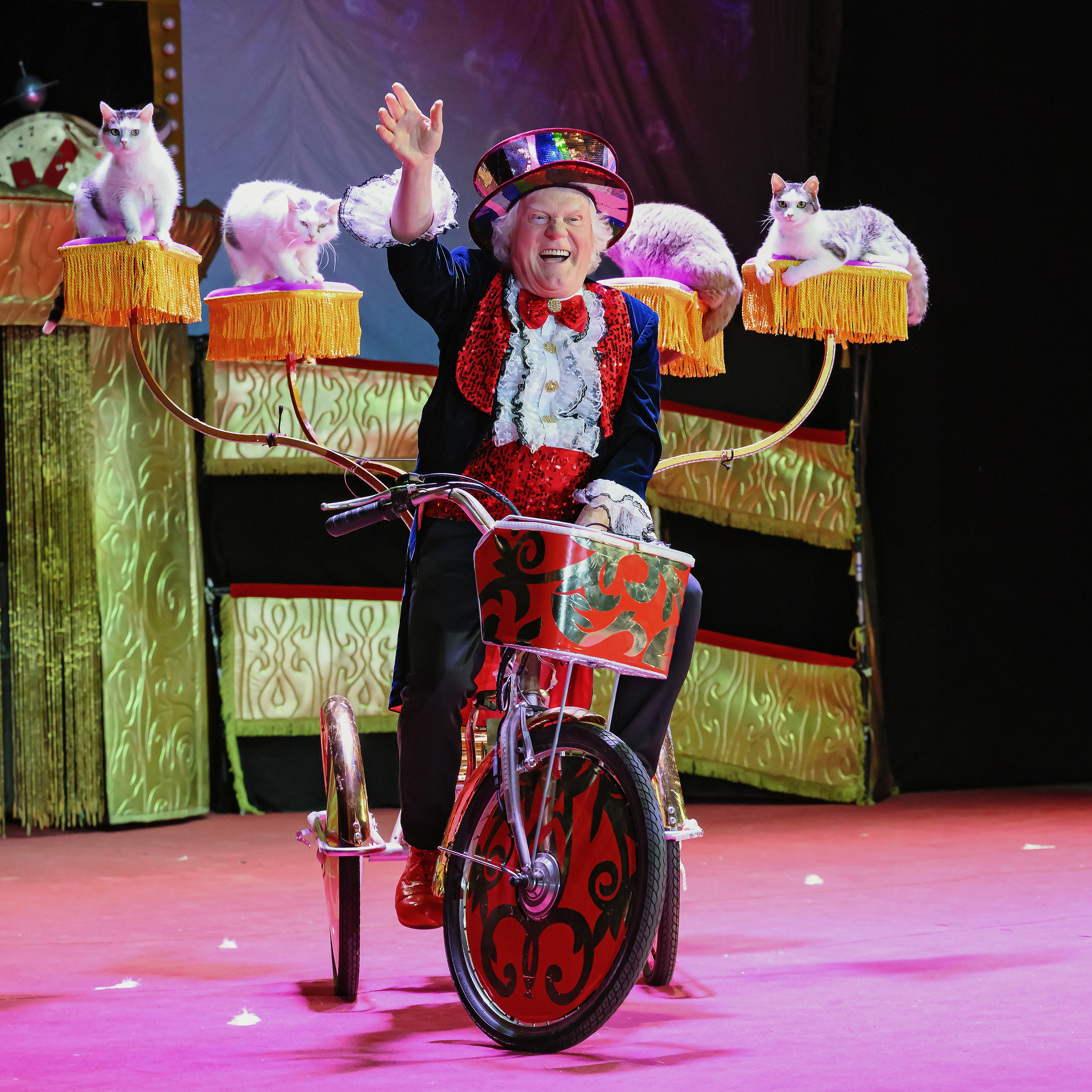 Великий клоун, Народный артист России, Юрий Куклачёв со звёздами эстрады и цирка, уникальный бенефис!. Фотограф Андрей Пухов (Jazz)