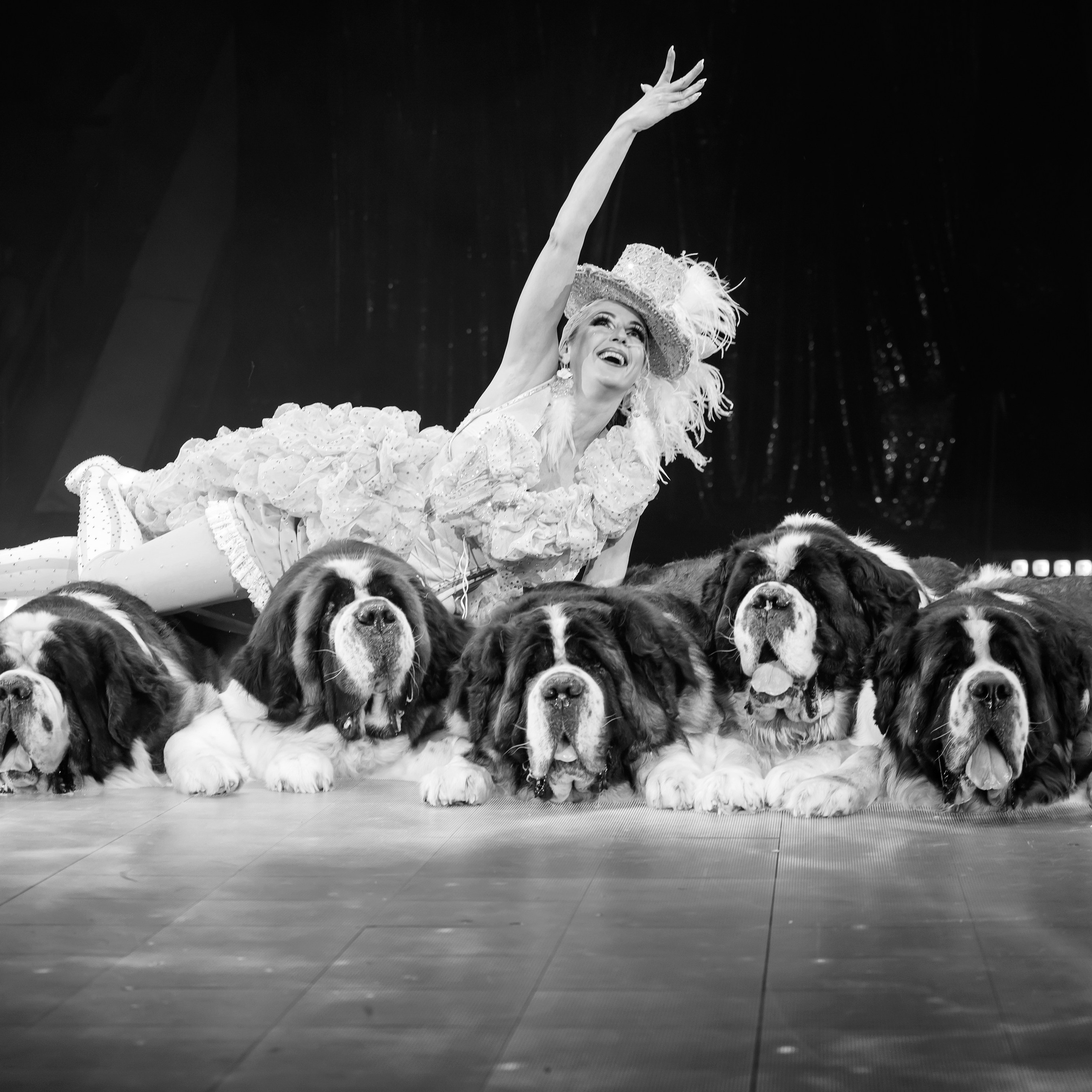 🍭Вкусное шоу «WOW»🍫. Фотограф Андрей Пухов (Jazz)