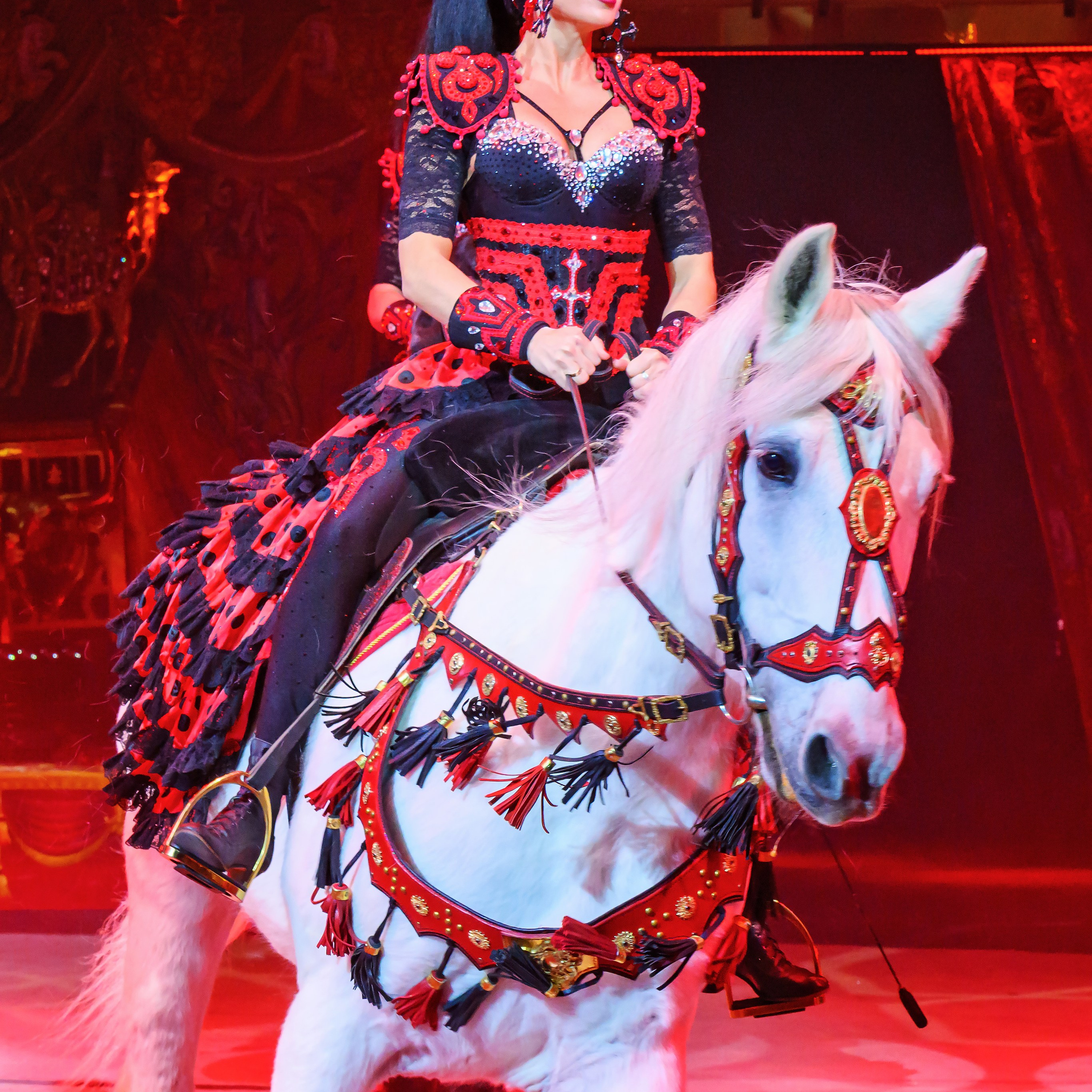 ГРАНДИОЗНОЕ ЦИРКОВОЕ ШОУ ЗАСЛУЖЕННОГО АРТИСТА РОССИИ ГИИ ЭРАДЗЕ. Фотограф Андрей Пухов (Jazz)