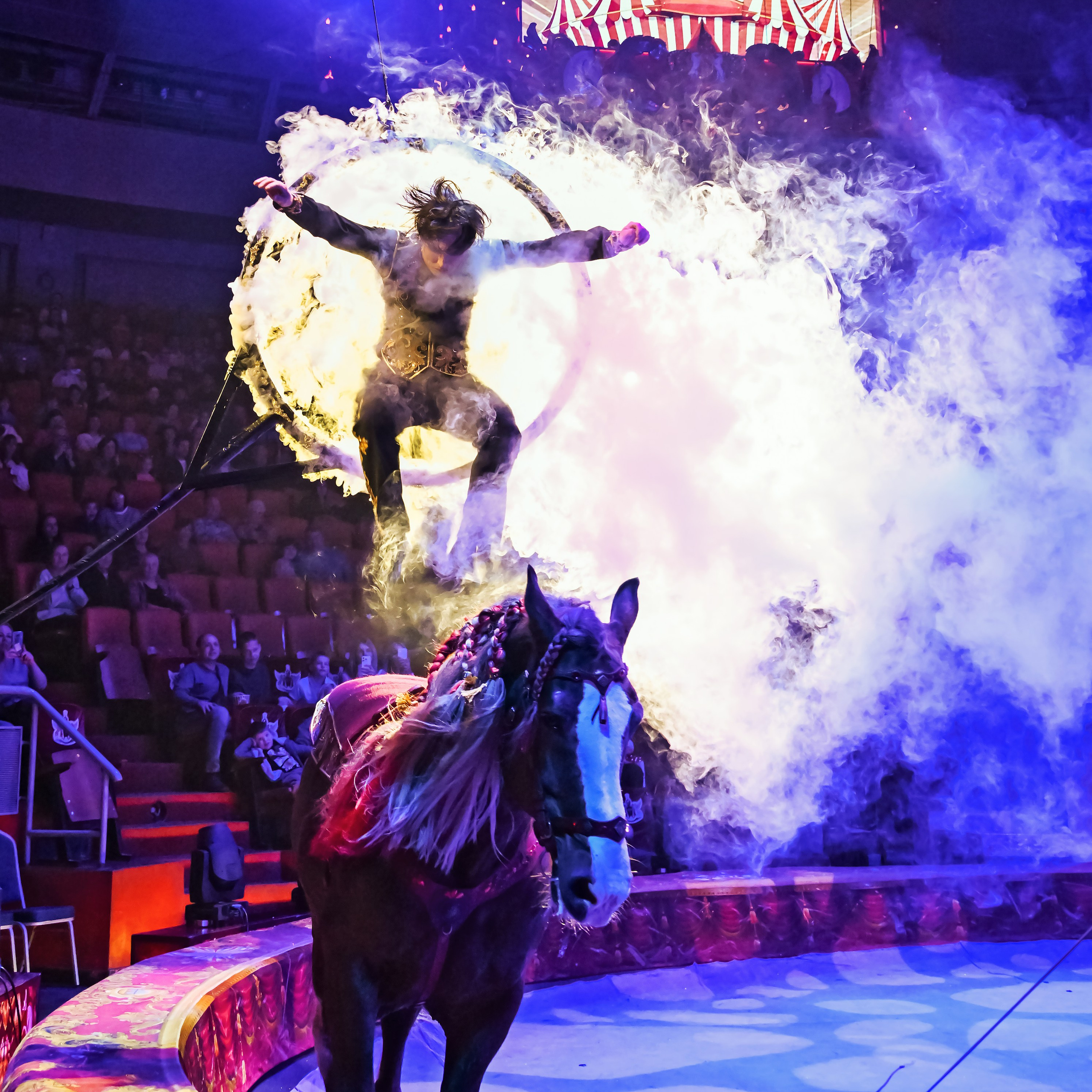 Вечное искусство удивлять: Королевский цирк Гии Эрадзе 👑 Роскошь здесь в каждой детали 💫✨⭐. Фотограф Андрей Пухов (Jazz)