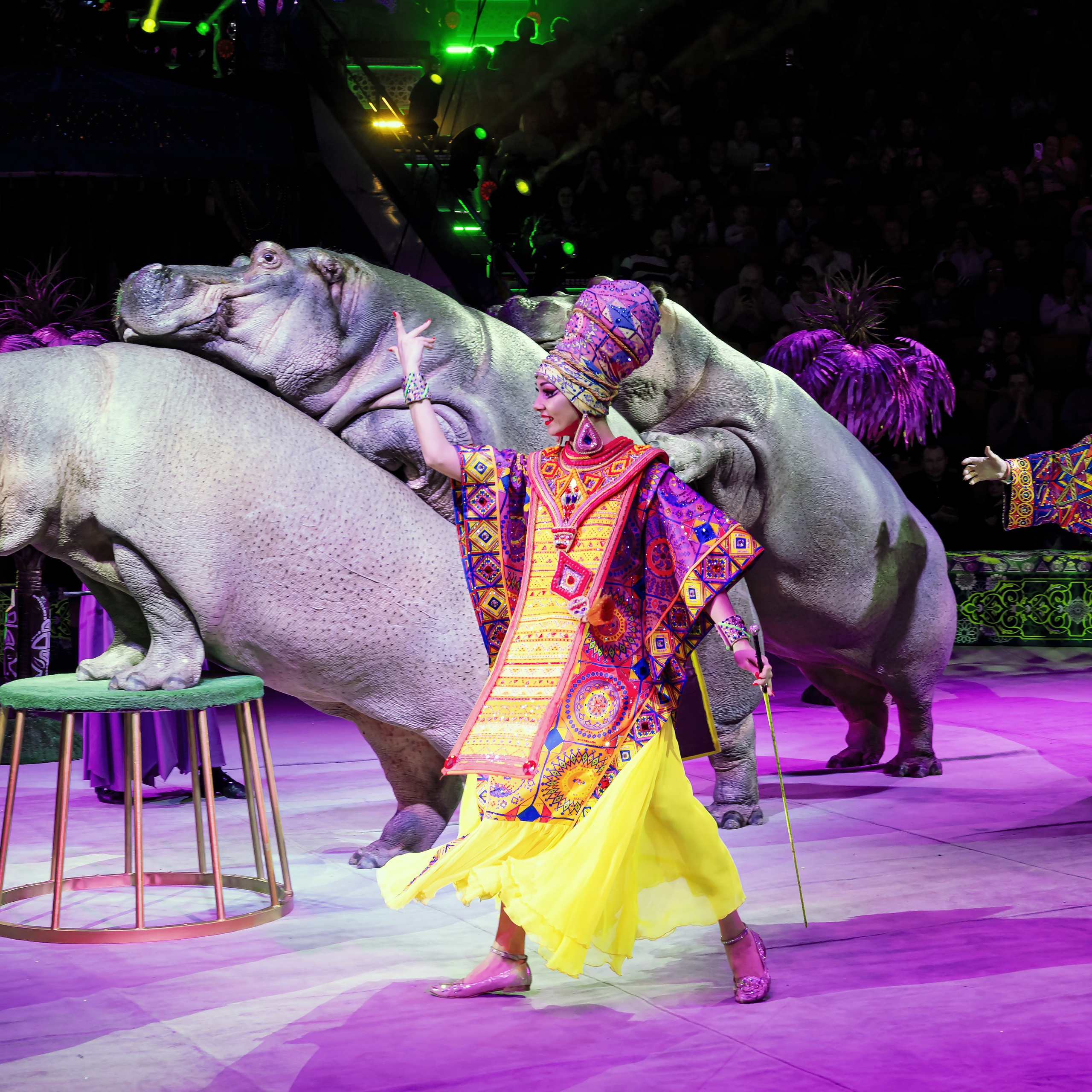Песчаная сказка — Нижегородский Государственный Цирк (Премьера). Цирковой фотограф Андрей Пухов (Jazz)