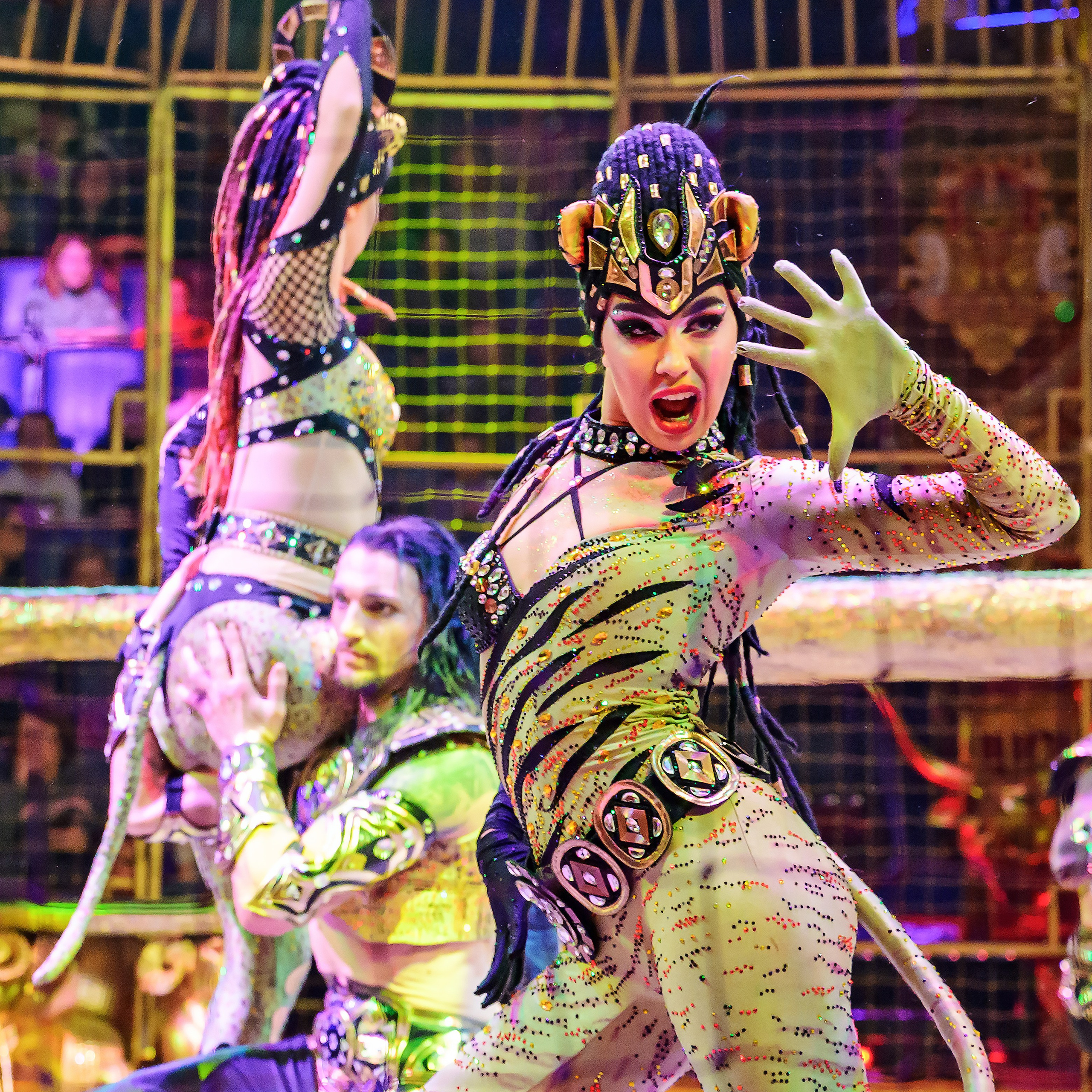 Royal Circus (новые номера). Фотограф Андрей Пухов (Jazz)