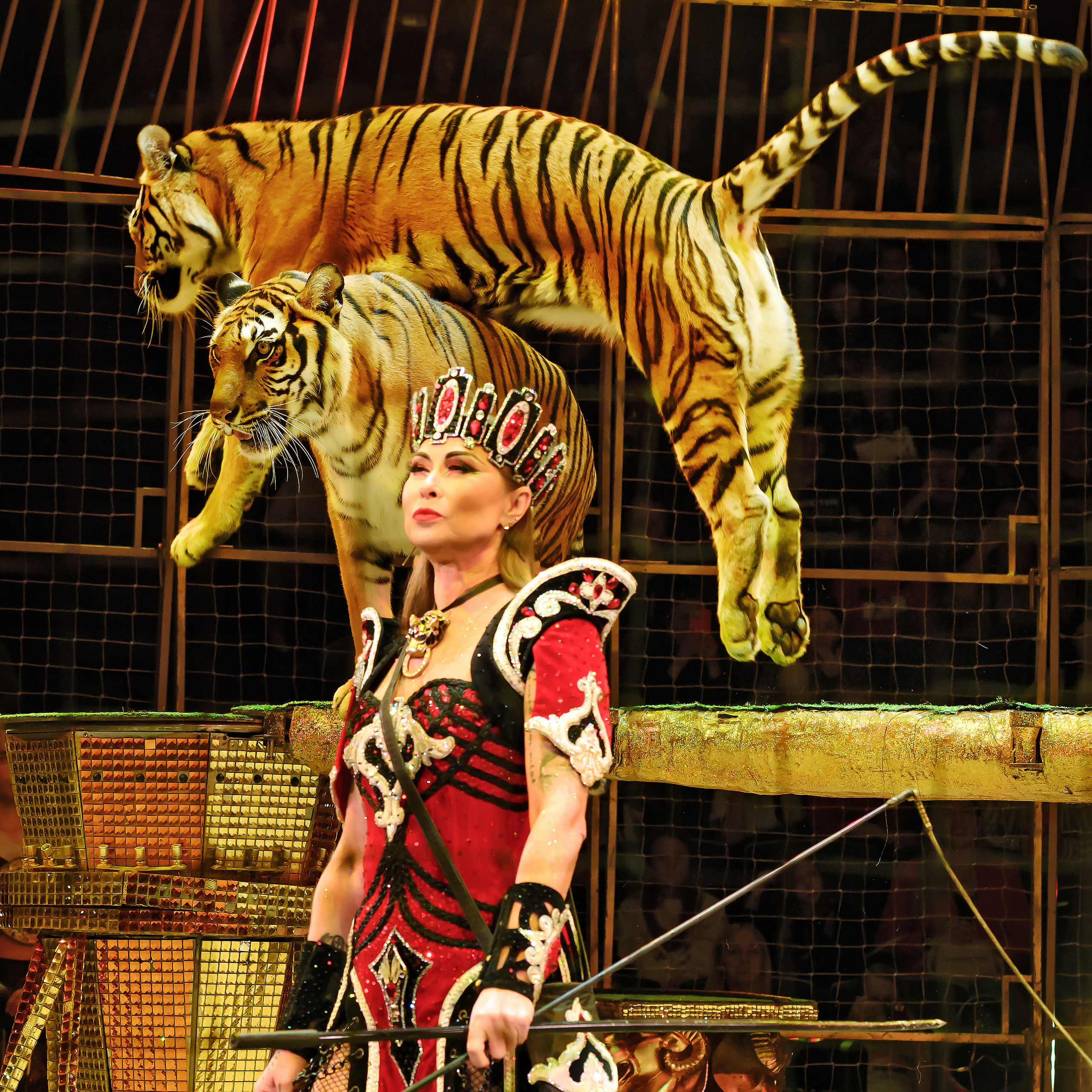 Шоу «Королевский цирк». Фотограф Андрей Пухов (Jazz)