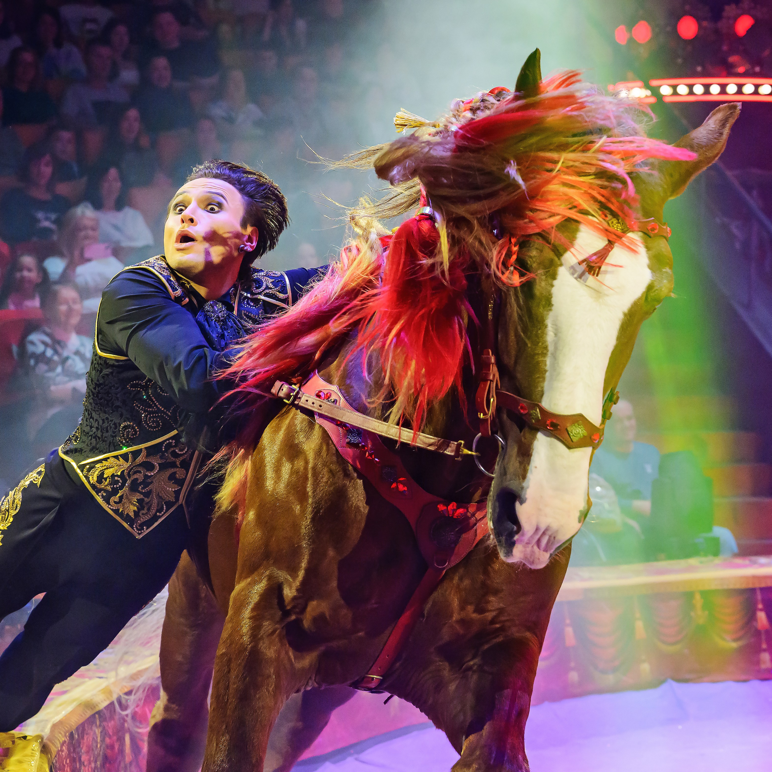 Royal Circus (новые номера). Фотограф Андрей Пухов (Jazz)