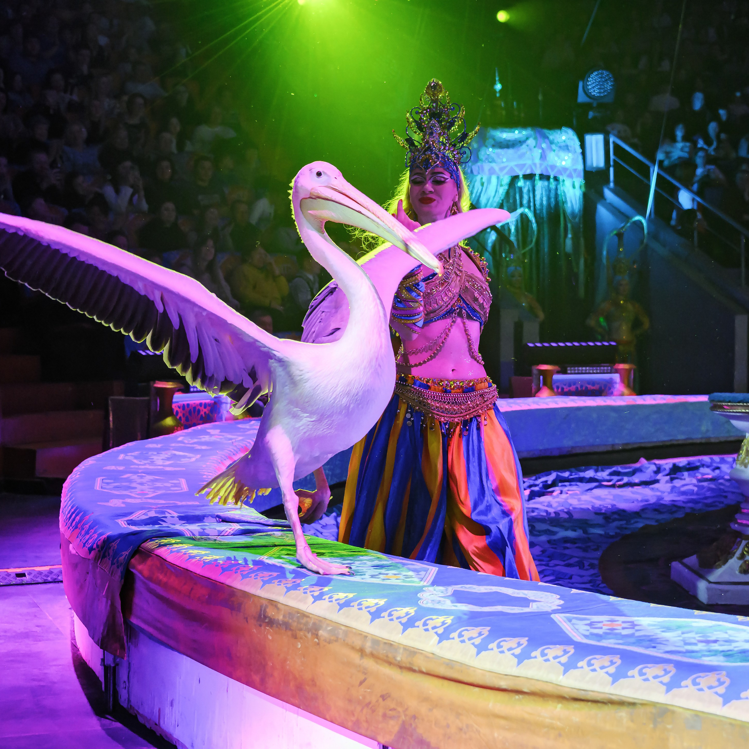 Песчаная сказка Гии Эрадзе — волшебное шоу 🎪, которое должен увидеть каждый, кто ценит красоту🌹, талант 🎭 и умение мечтать 💫. Цирковой фотограф Андрей Пухов (Jazz)