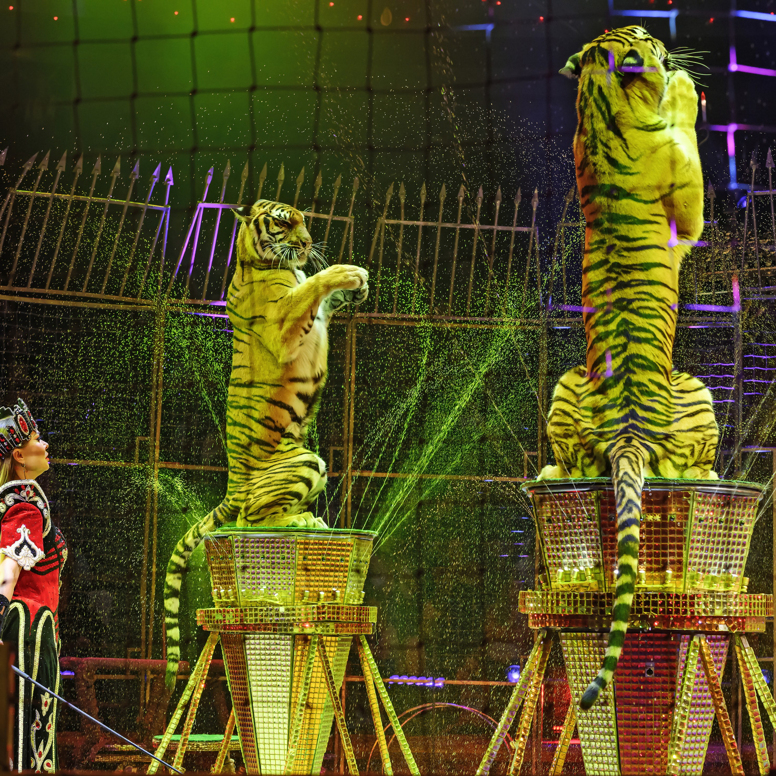 Шоу «Королевский цирк». Фотограф Андрей Пухов (Jazz)