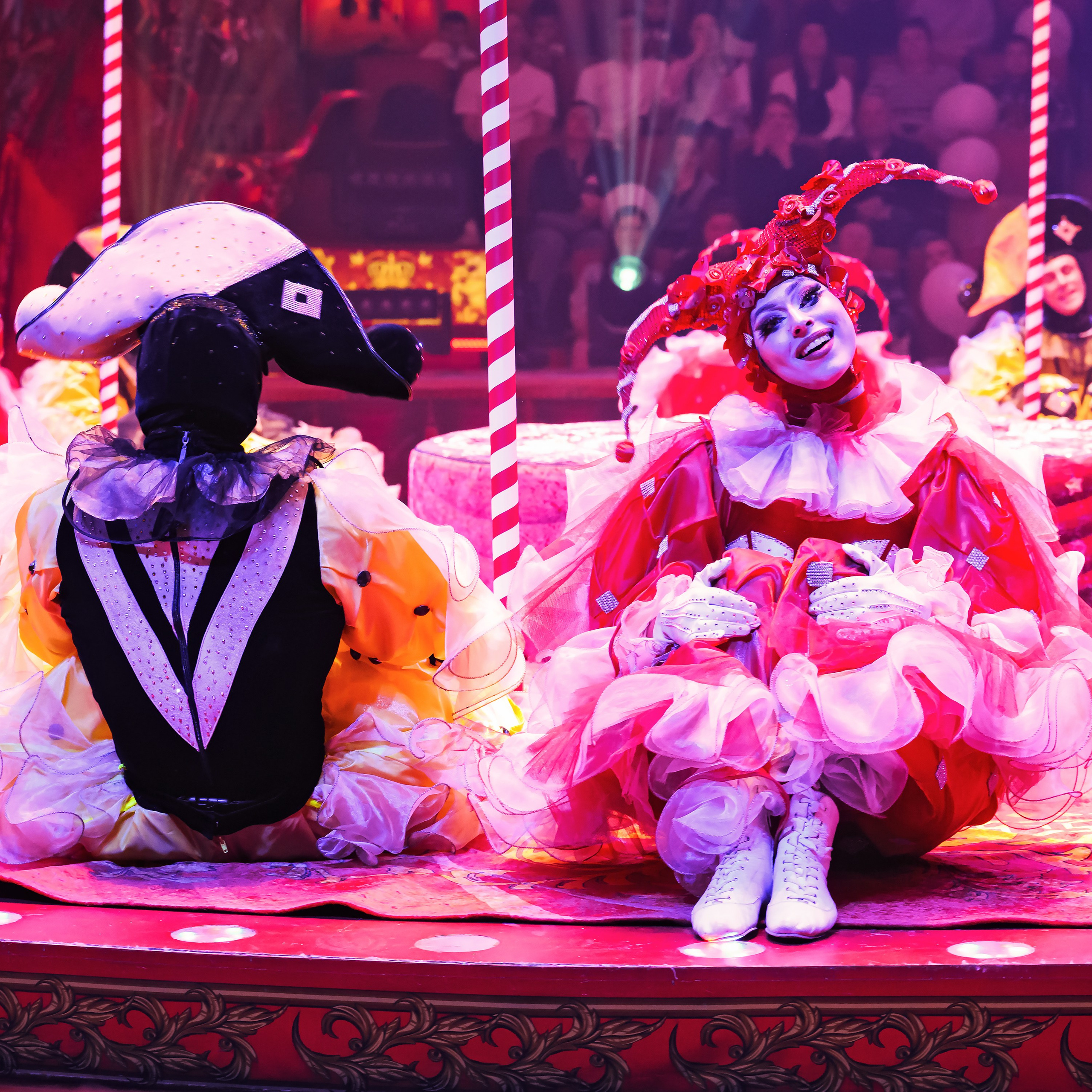 Royal Circus (новые номера). Фотограф Андрей Пухов (Jazz)