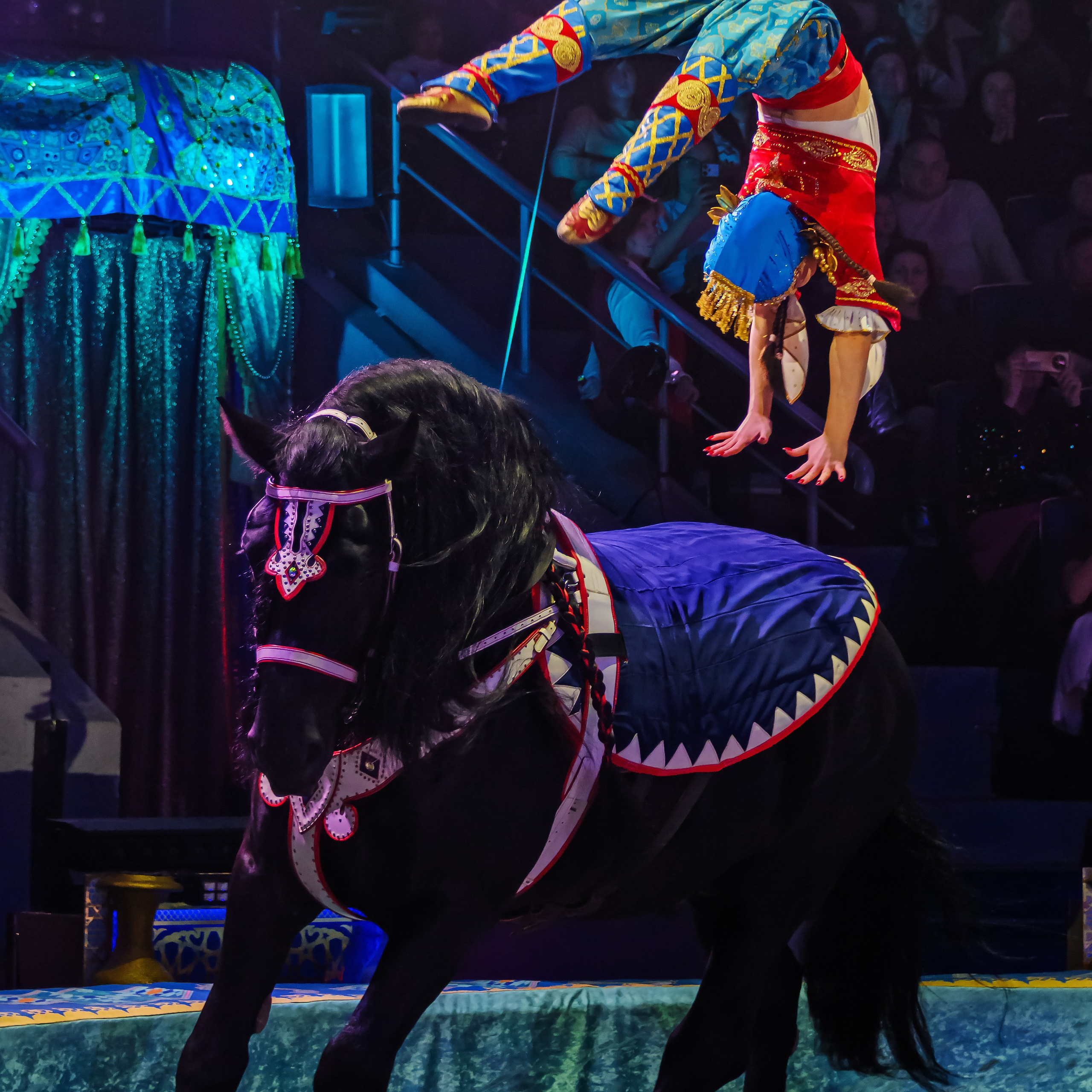«С окончанием» шоу «Песчаная сказка» в Нижнем Новгороде. ✨🎪🐪. Цирковой фотограф Андрей Пухов (Jazz)