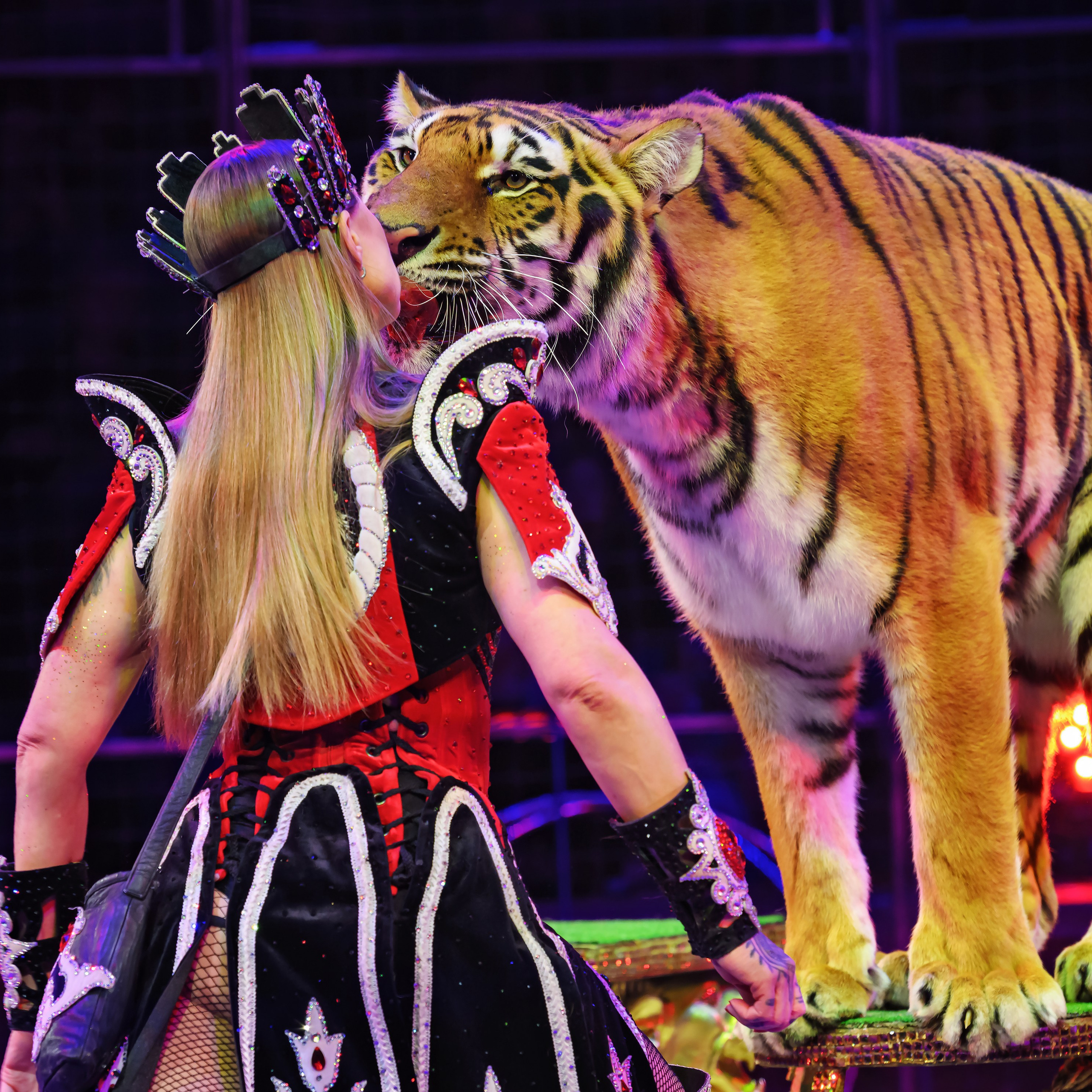 Шоу «Королевский цирк». Фотограф Андрей Пухов (Jazz)