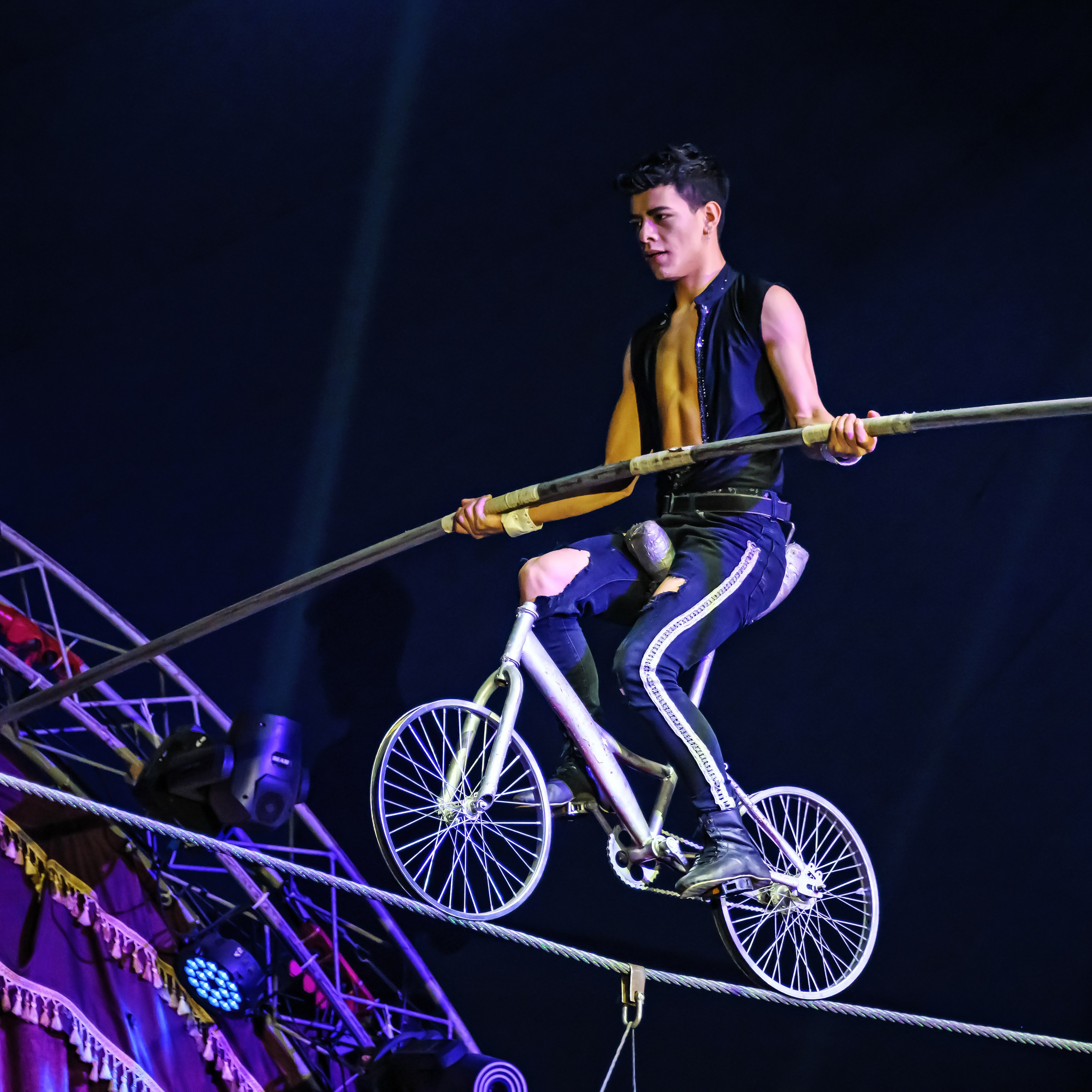 Шоу Демидовых. Цирковой фотограф Андрей Пухов (Jazz)