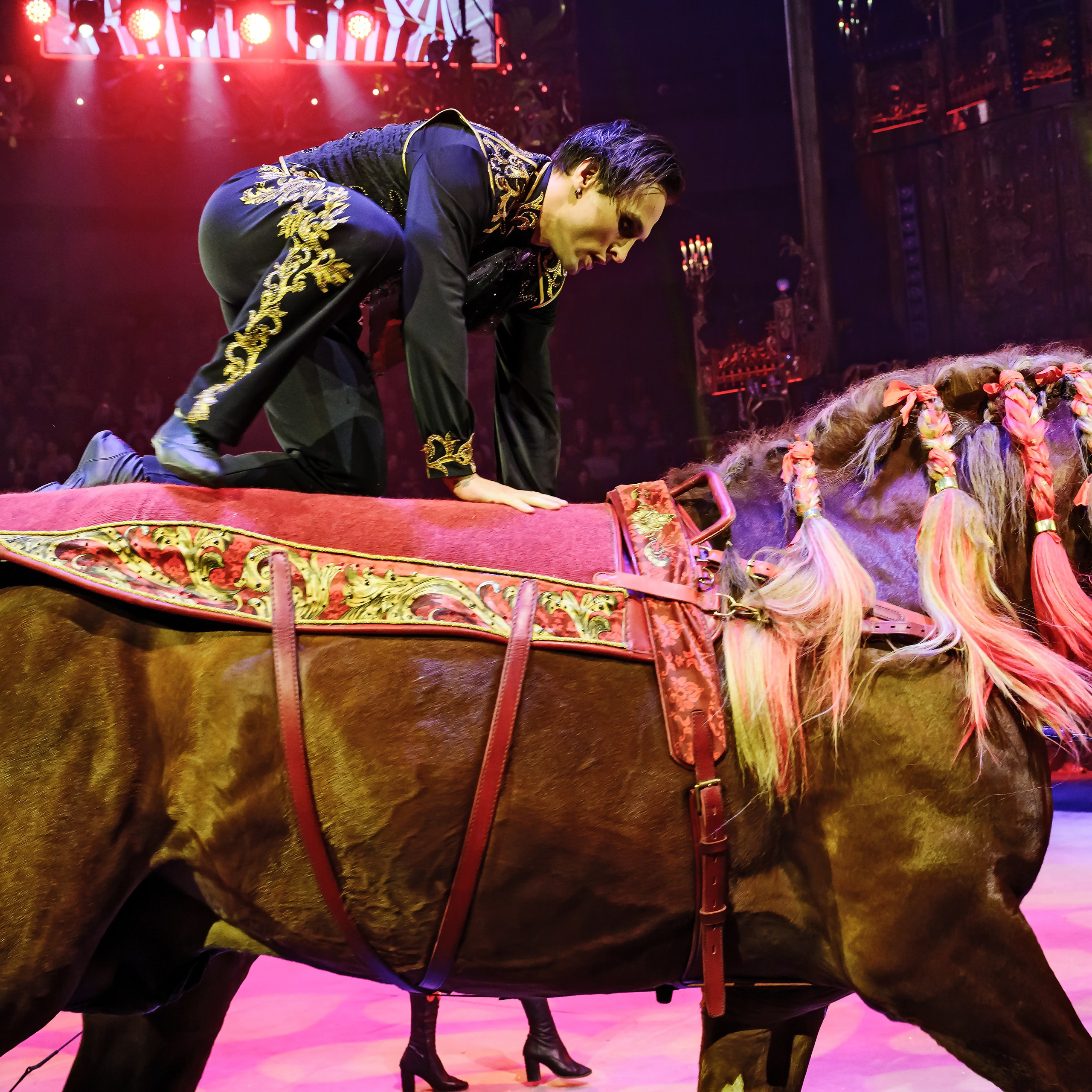 Royal Circus (новые номера). Фотограф Андрей Пухов (Jazz)