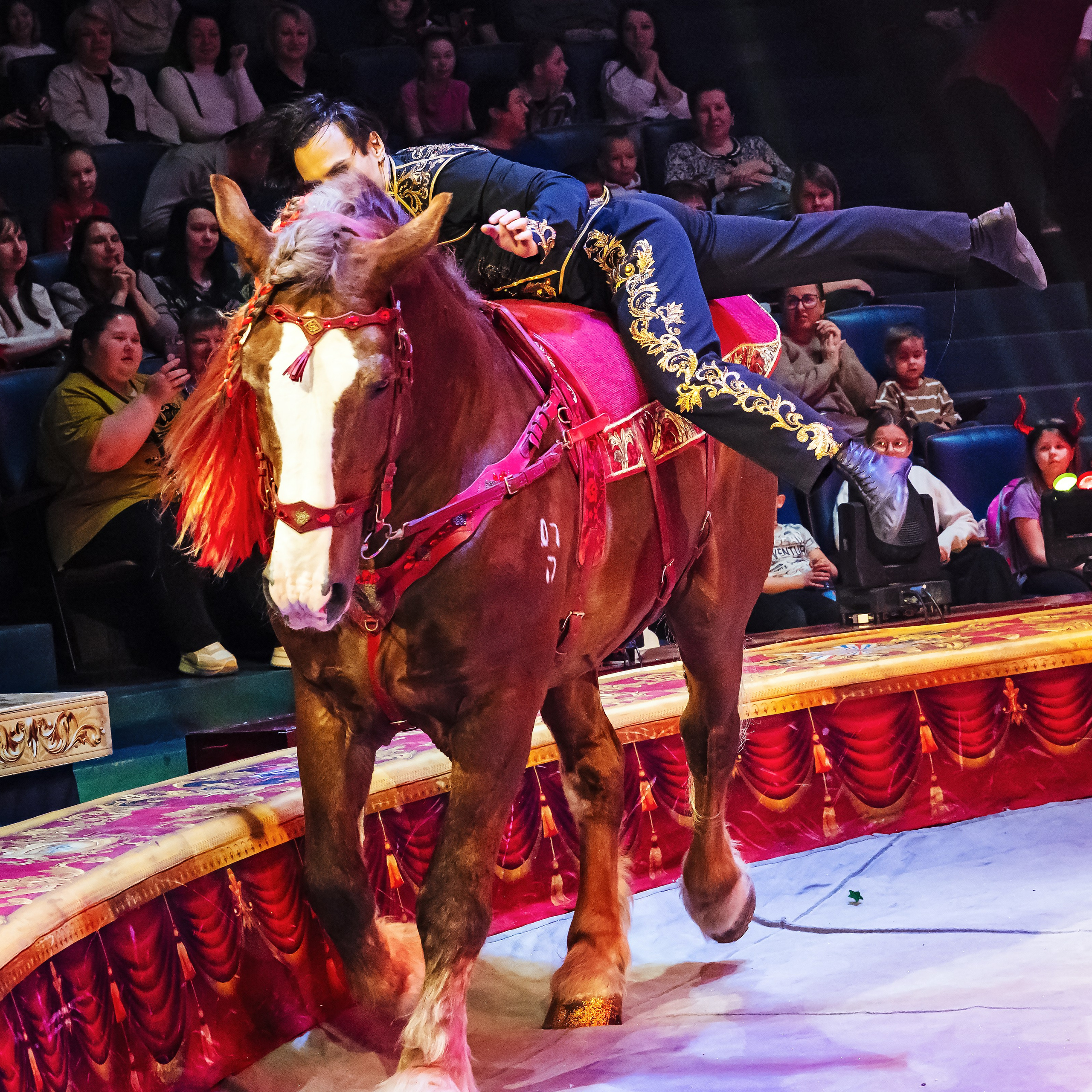 Royal Circus (новые номера). Фотограф Андрей Пухов (Jazz)