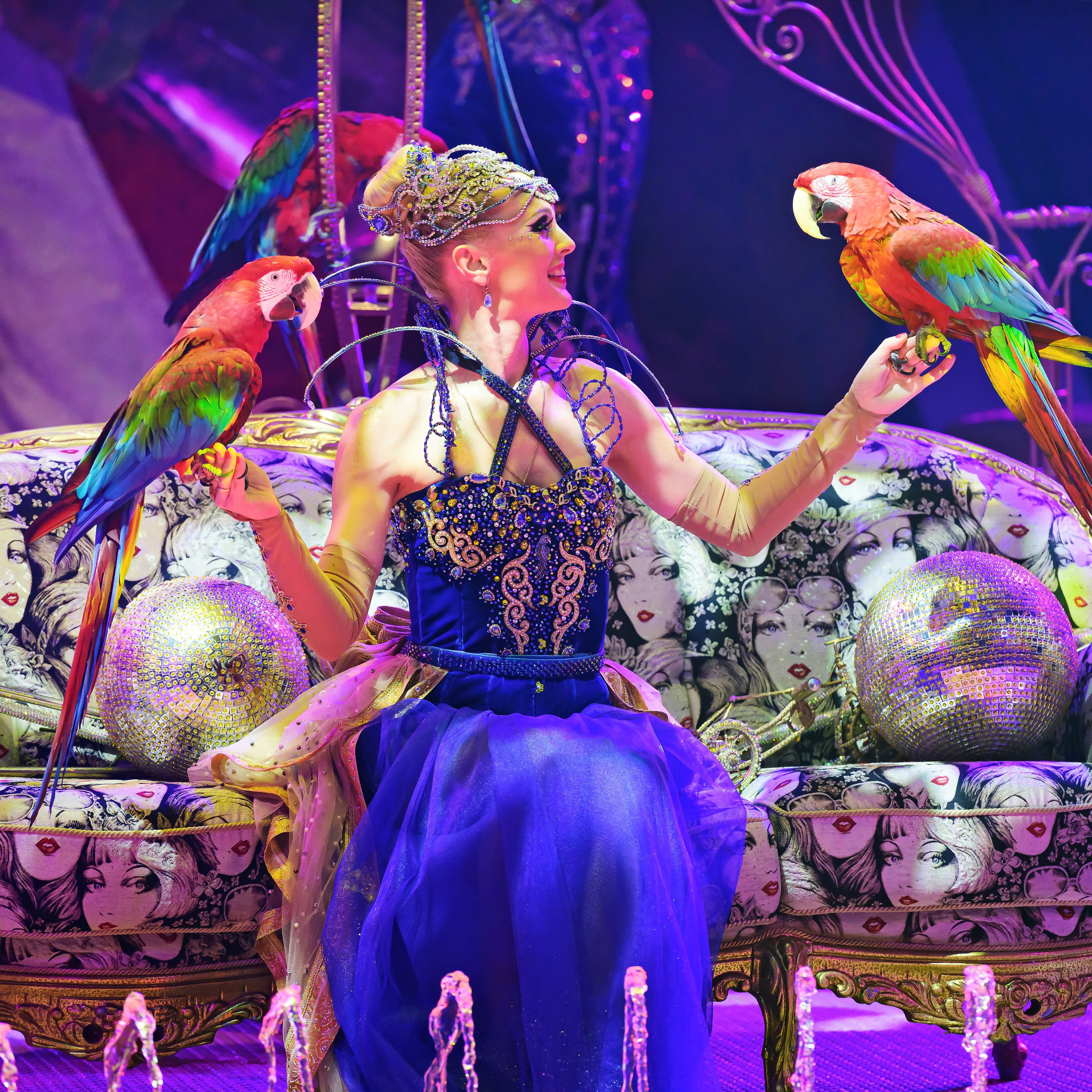 Принц Цирка (Продюсерский центр Влада Гончарова)🎪🦁. Фотограф Андрей Пухов (Jazz)