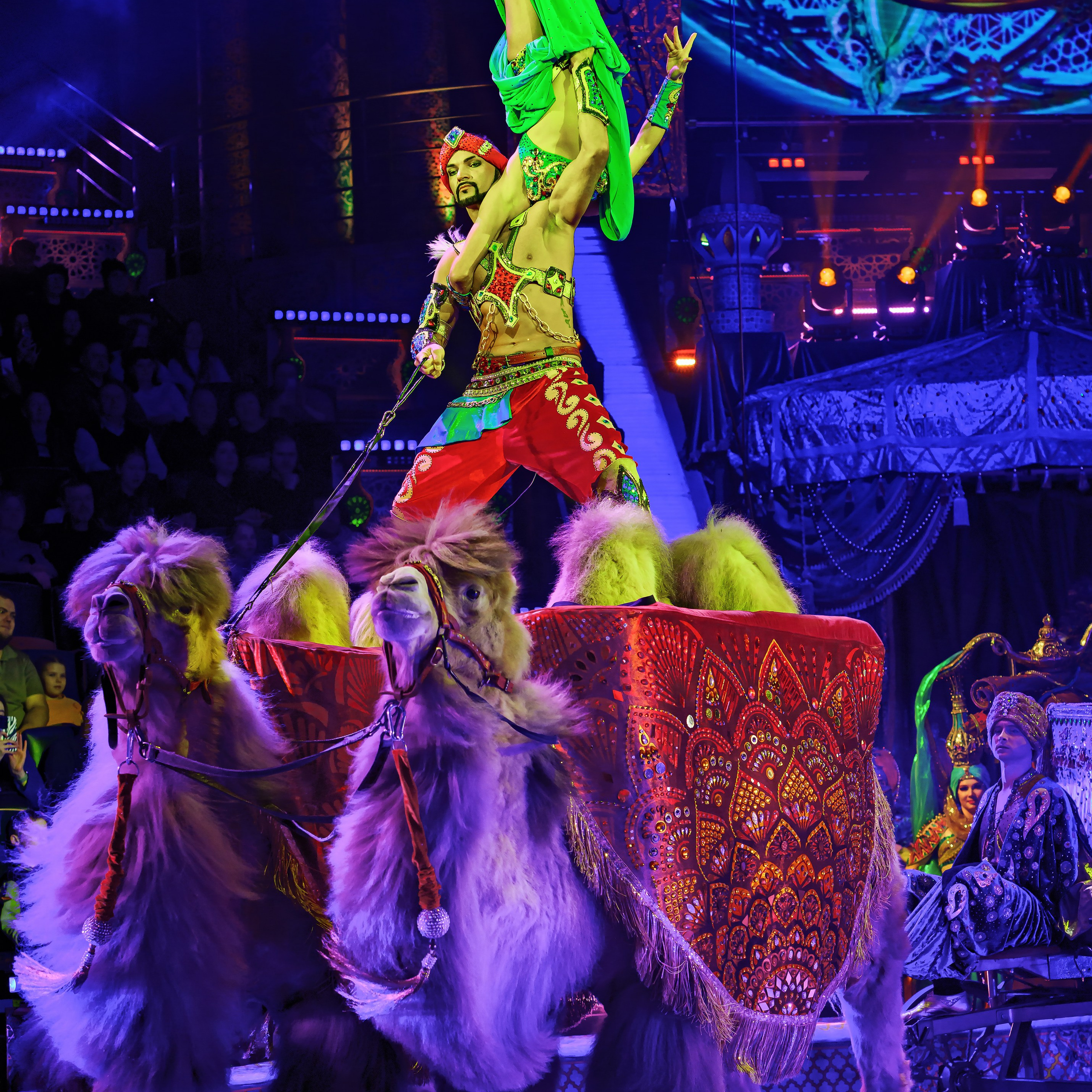 Песчаная сказка — Нижегородский Государственный Цирк (Премьера). Цирковой фотограф Андрей Пухов (Jazz)