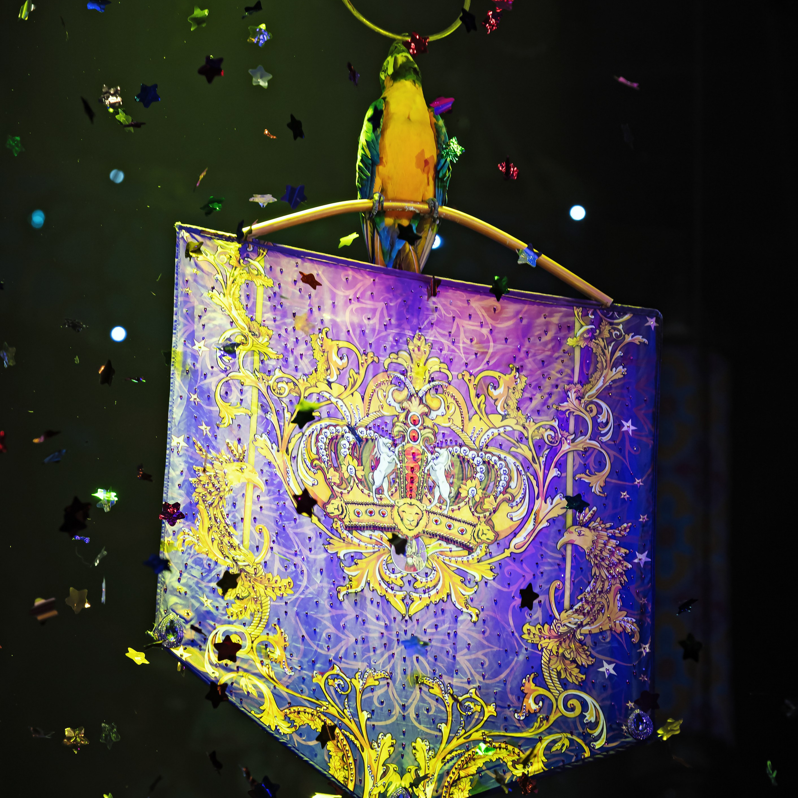 Песчаная сказка — Нижегородский Государственный Цирк (Премьера). Цирковой фотограф Андрей Пухов (Jazz)