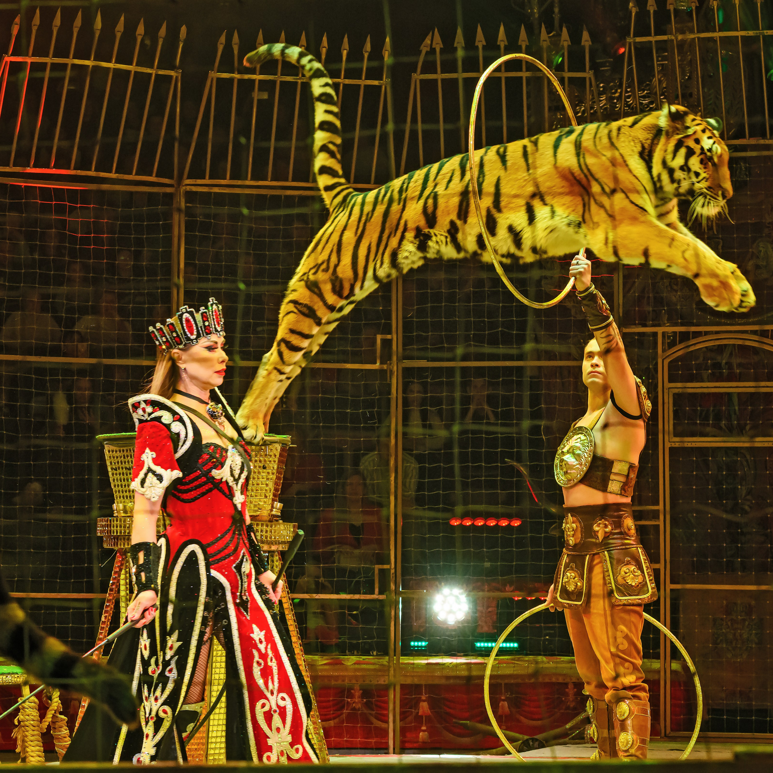 Шоу «Королевский цирк». Фотограф Андрей Пухов (Jazz)