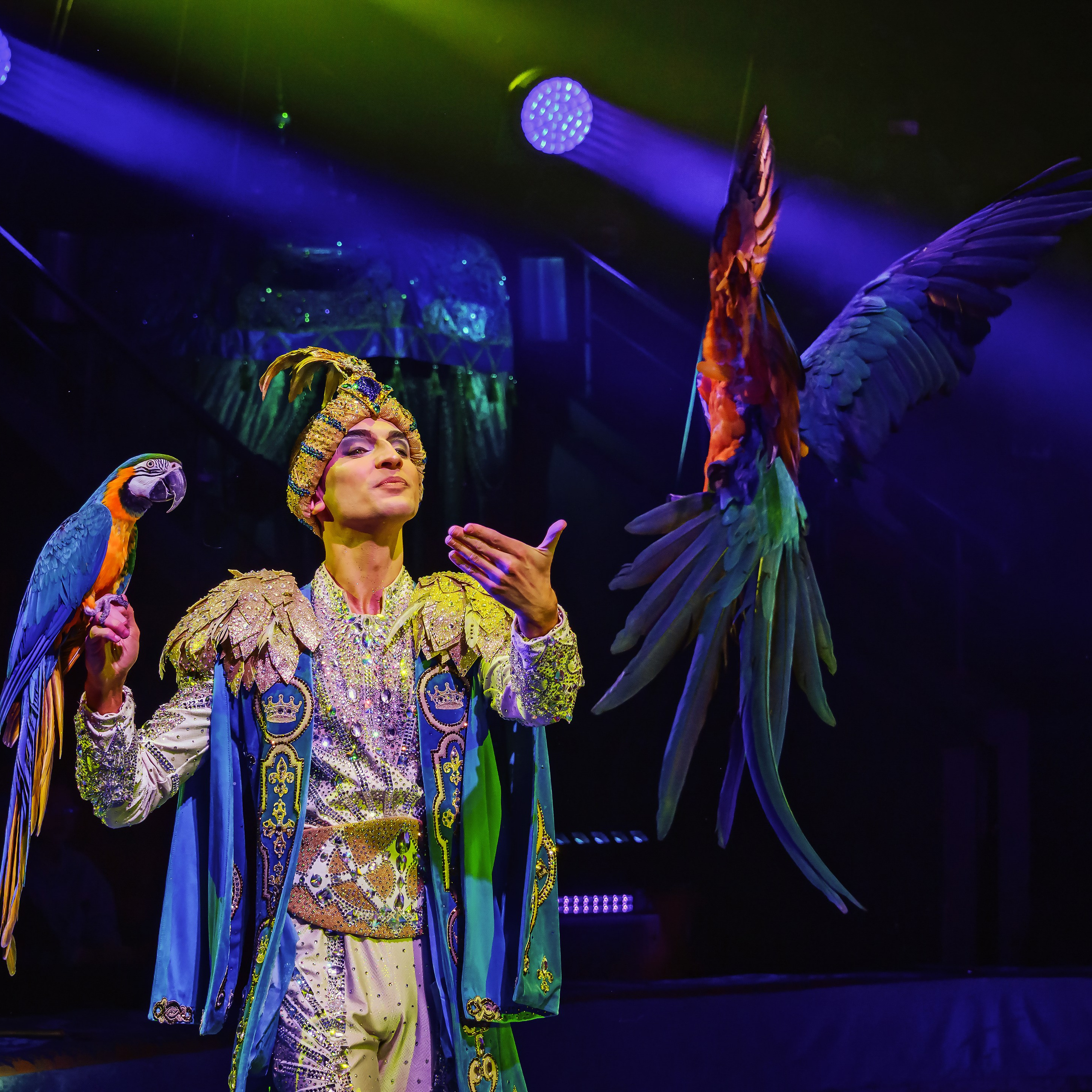 Песчаная сказка Гии Эрадзе — волшебное шоу 🎪, которое должен увидеть каждый, кто ценит красоту🌹, талант 🎭 и умение мечтать 💫. Цирковой фотограф Андрей Пухов (Jazz)