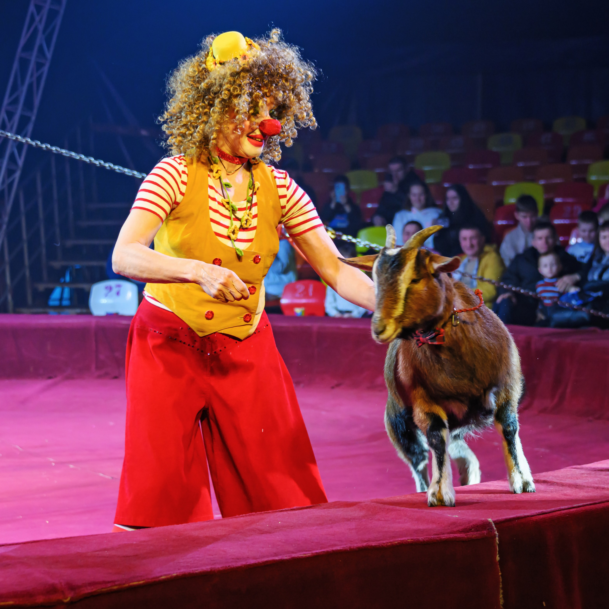 Международный цирк"HAPPY CIRCUS». Фотограф Андрей Пухов (Jazz)