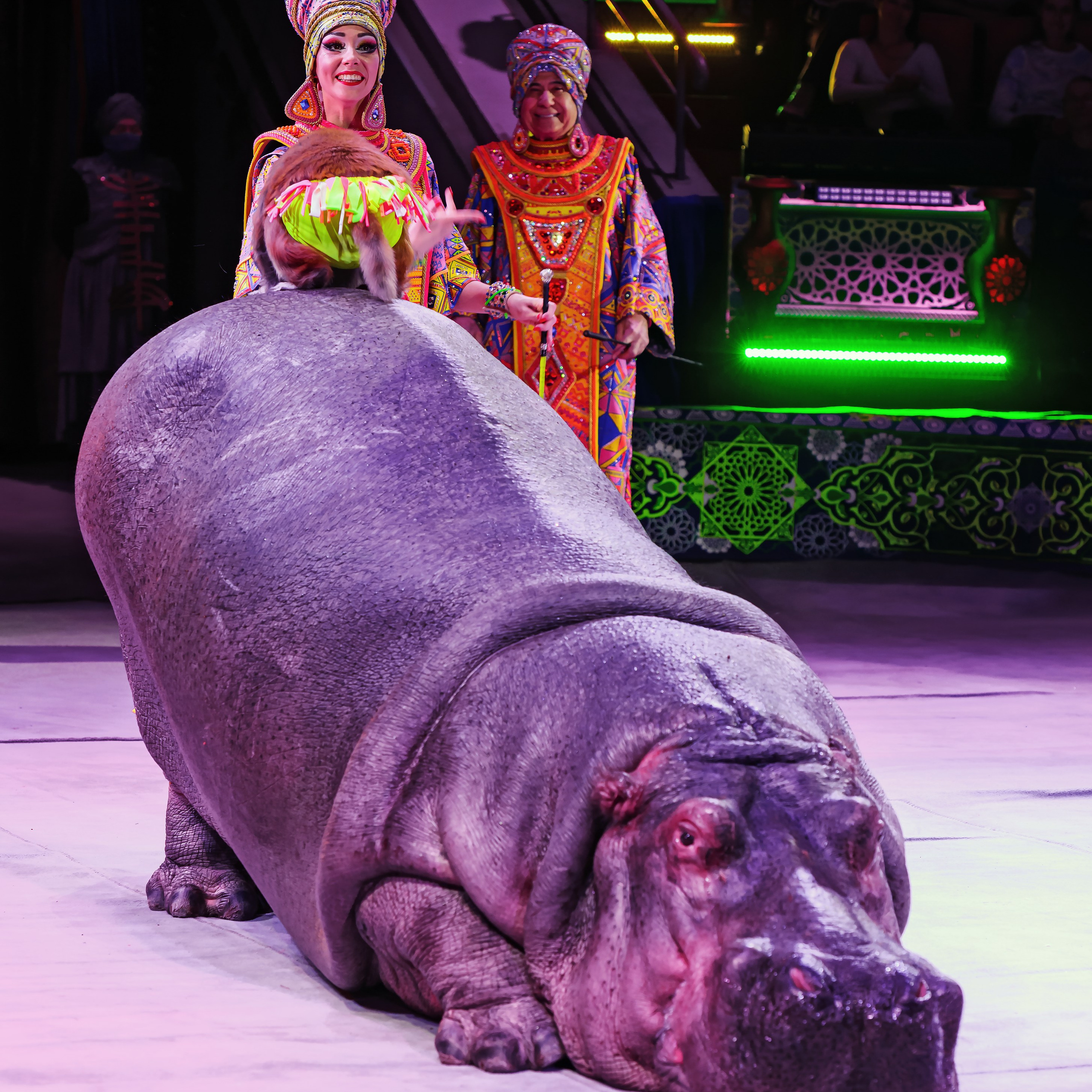 Песчаная сказка — Нижегородский Государственный Цирк (Премьера). Цирковой фотограф Андрей Пухов (Jazz)
