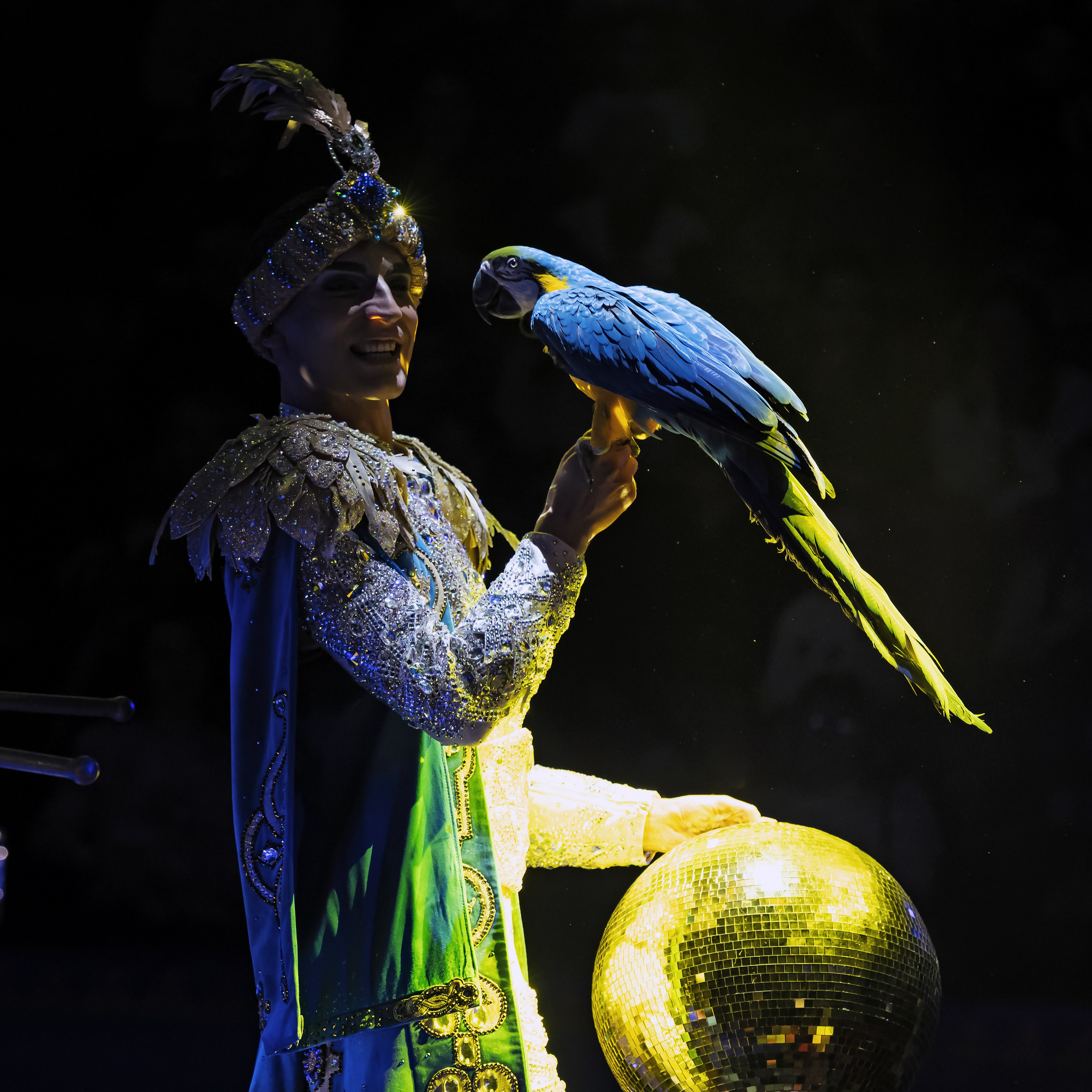 Песчаная сказка — Нижегородский Государственный Цирк (Премьера). Цирковой фотограф Андрей Пухов (Jazz)