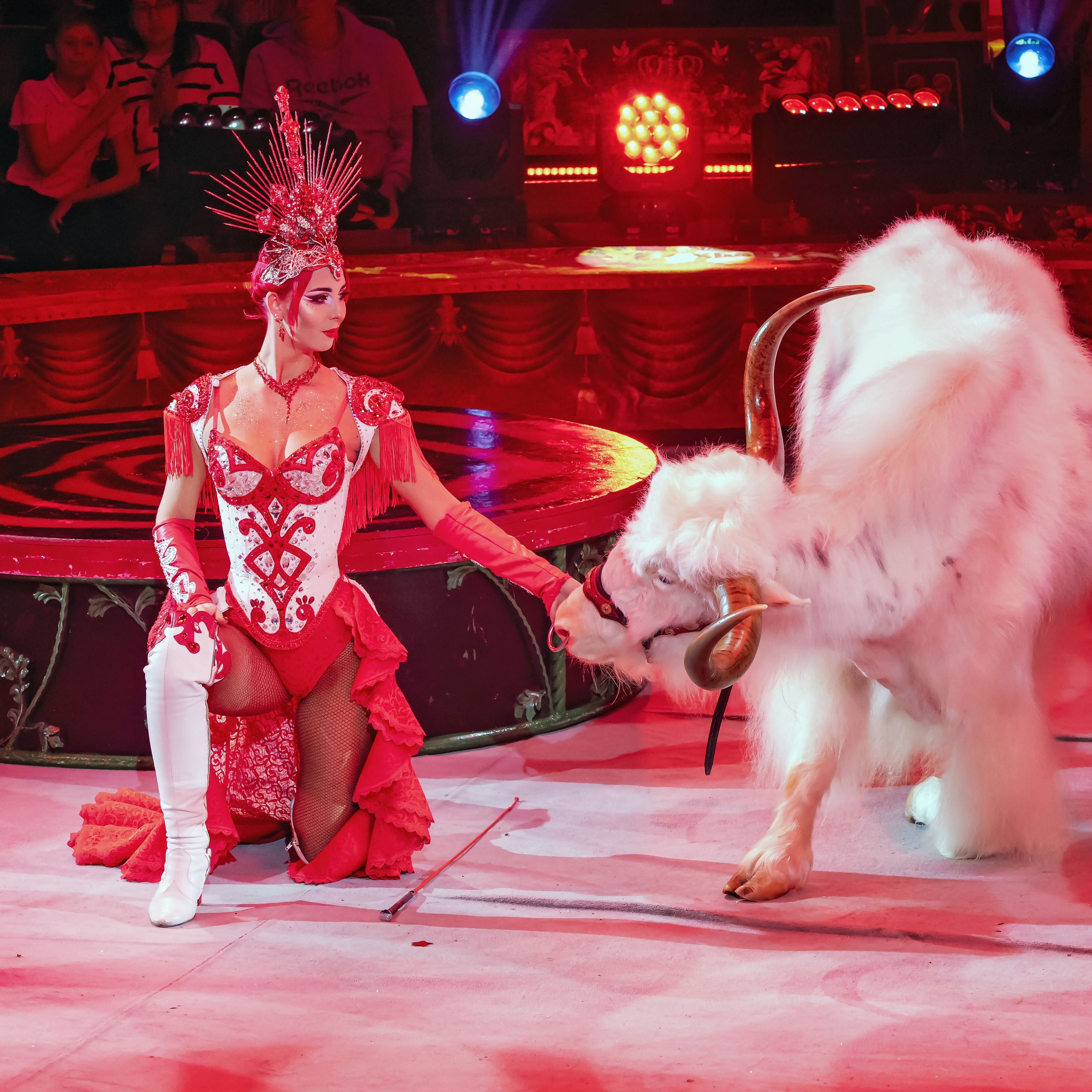 Королевский цирк ПРЕМЬЕРА НН. Фотограф Андрей Пухов (Jazz)