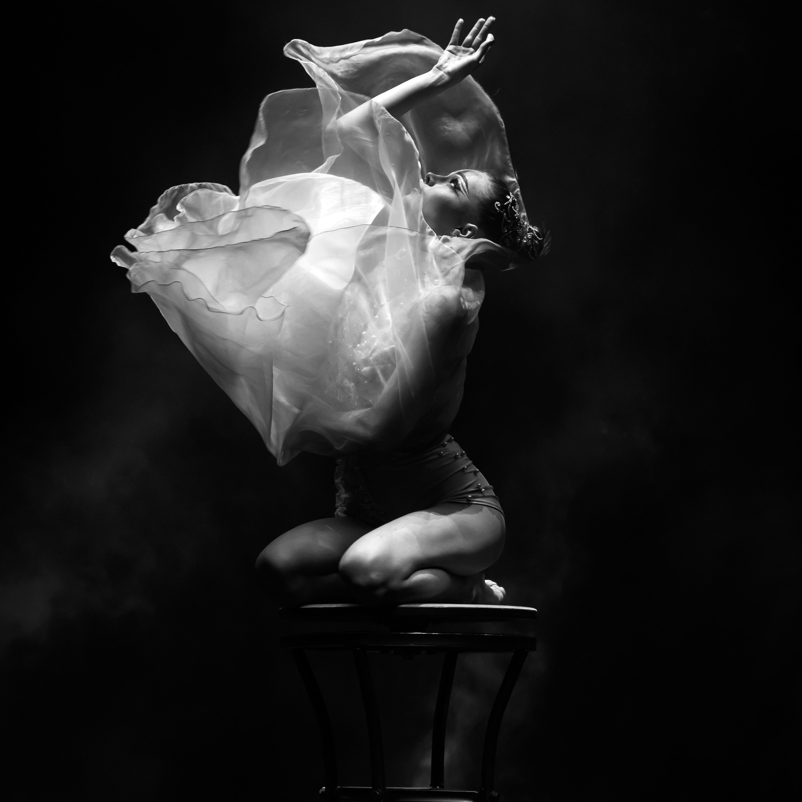 Шоу «Королевский цирк». Фотограф Андрей Пухов (Jazz)