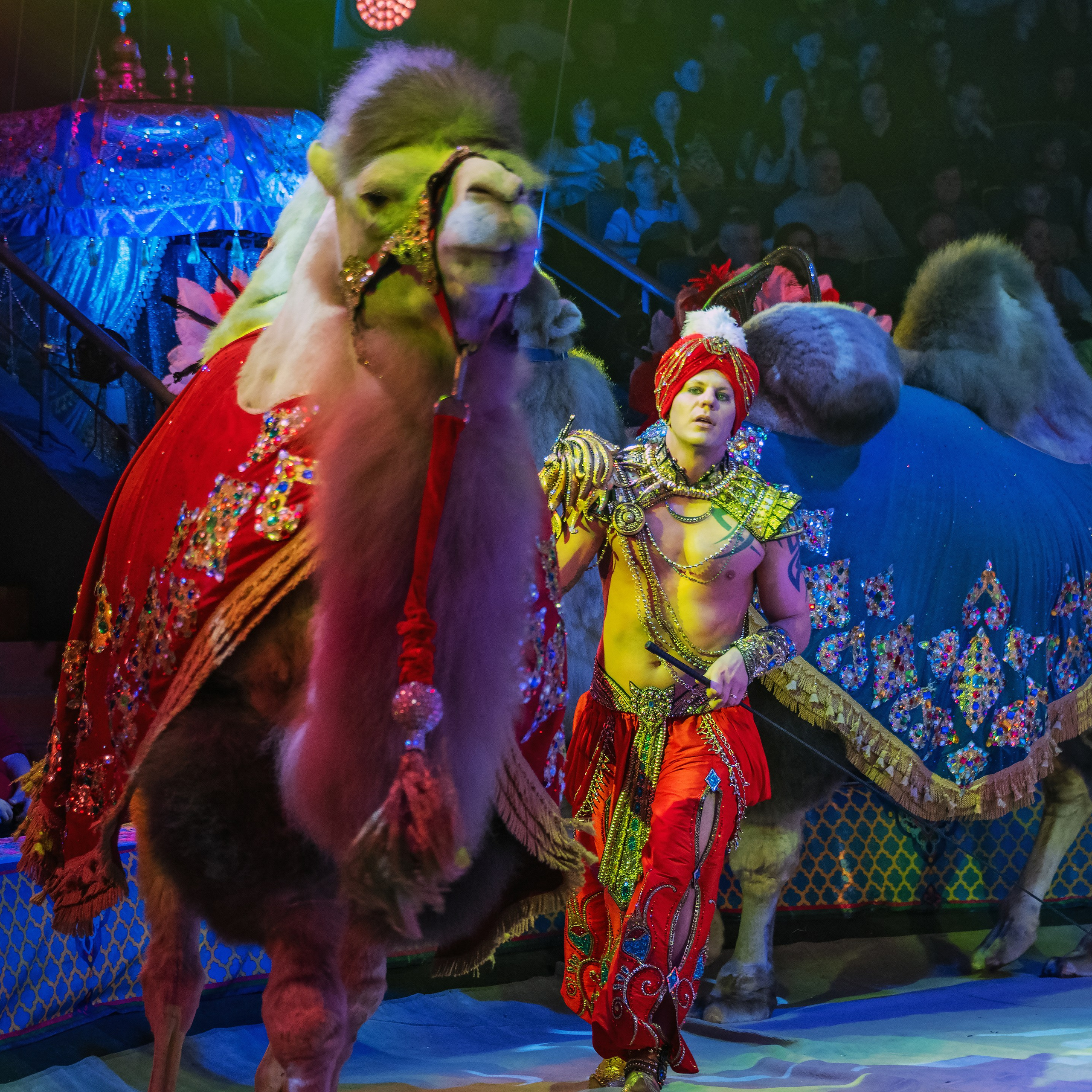 Песчаная сказка Гии Эрадзе — волшебное шоу 🎪, которое должен увидеть каждый, кто ценит красоту🌹, талант 🎭 и умение мечтать 💫. Цирковой фотограф Андрей Пухов (Jazz)