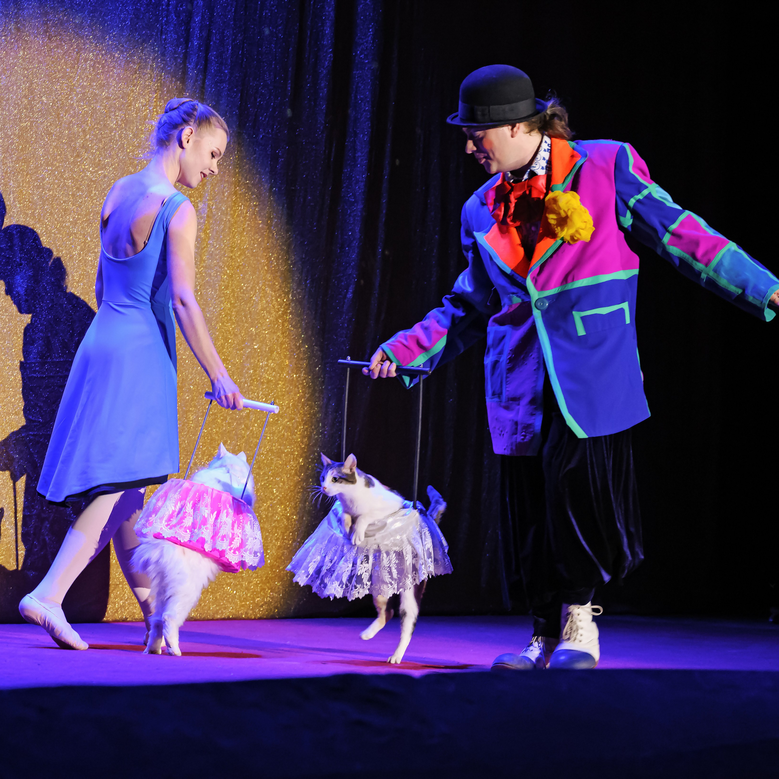 Великий клоун, Народный артист России, Юрий Куклачёв со звёздами эстрады и цирка, уникальный бенефис!. Фотограф Андрей Пухов (Jazz)