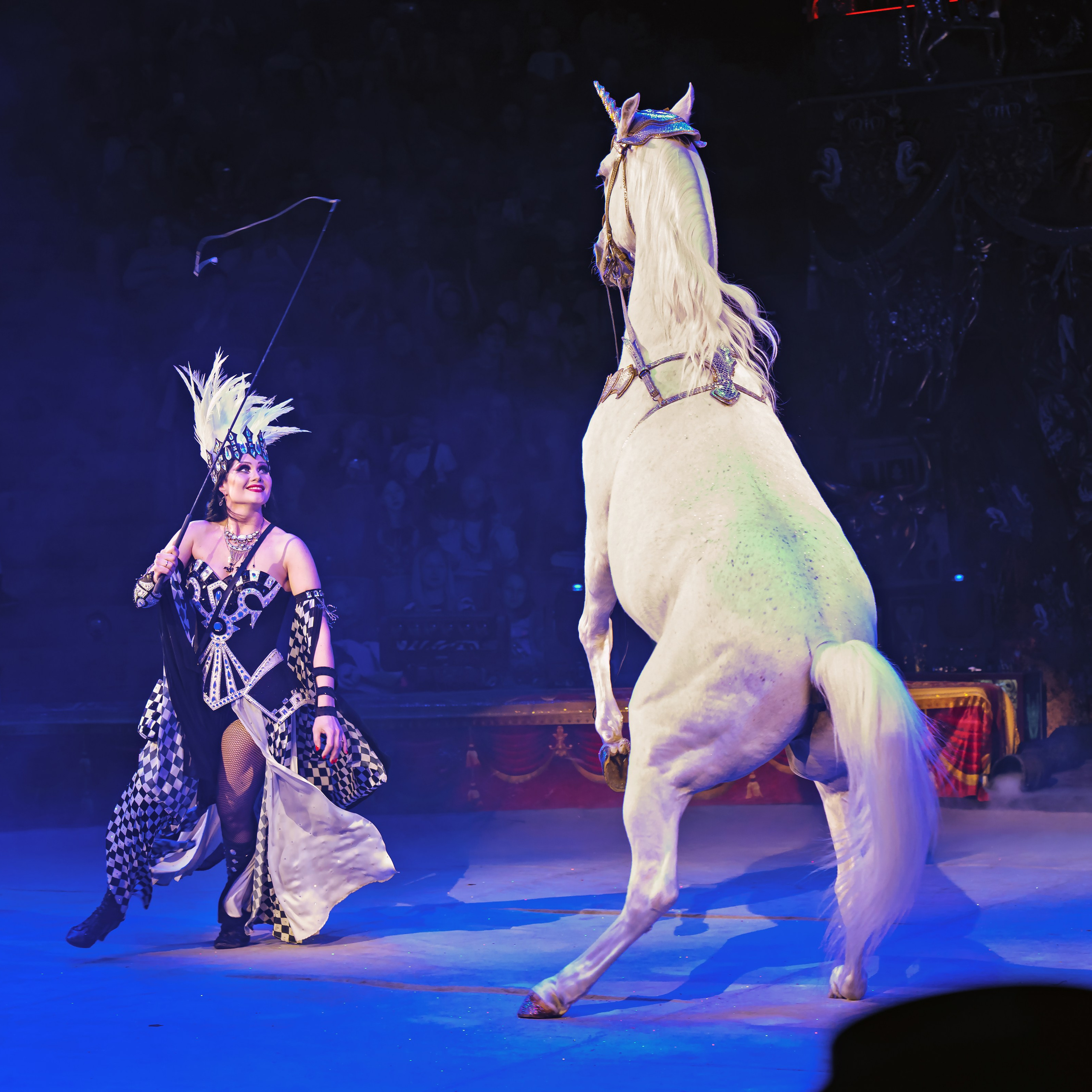 Шоу «Королевский цирк». Фотограф Андрей Пухов (Jazz)