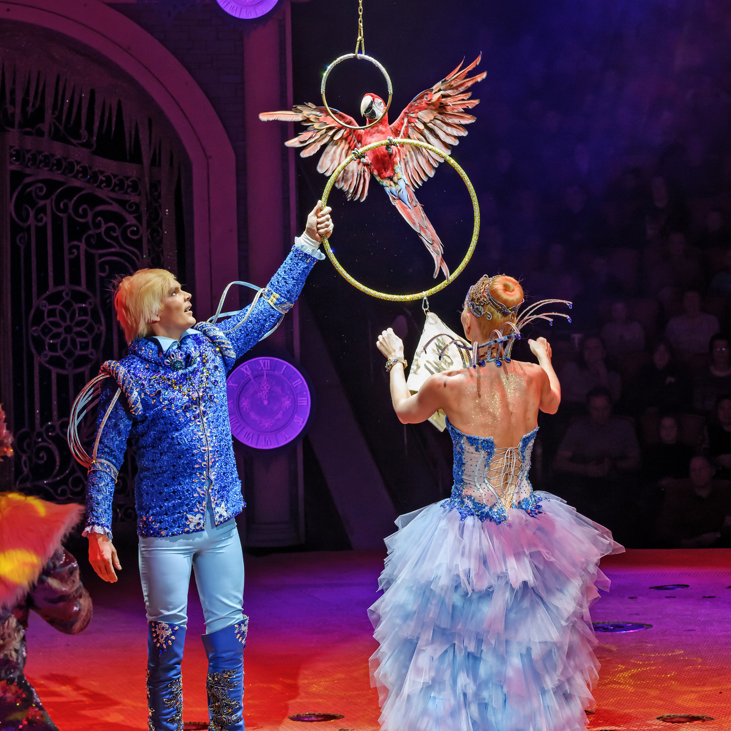 «13 месяцев. Шоу ледяных фонтанов»❄💙. Фотограф Андрей Пухов (Jazz)