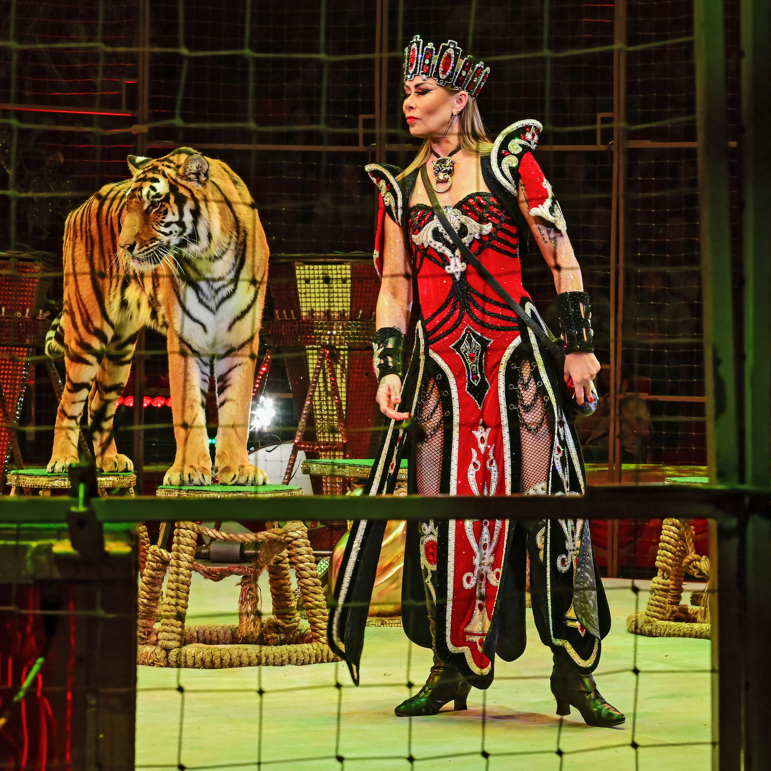 Шоу «Королевский цирк». Фотограф Андрей Пухов (Jazz)