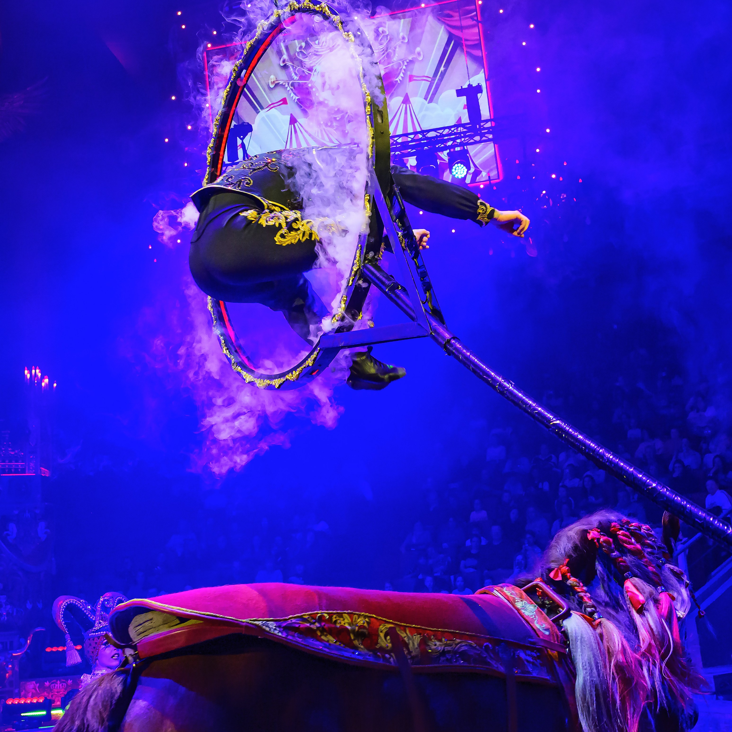 Royal Circus (новые номера). Фотограф Андрей Пухов (Jazz)