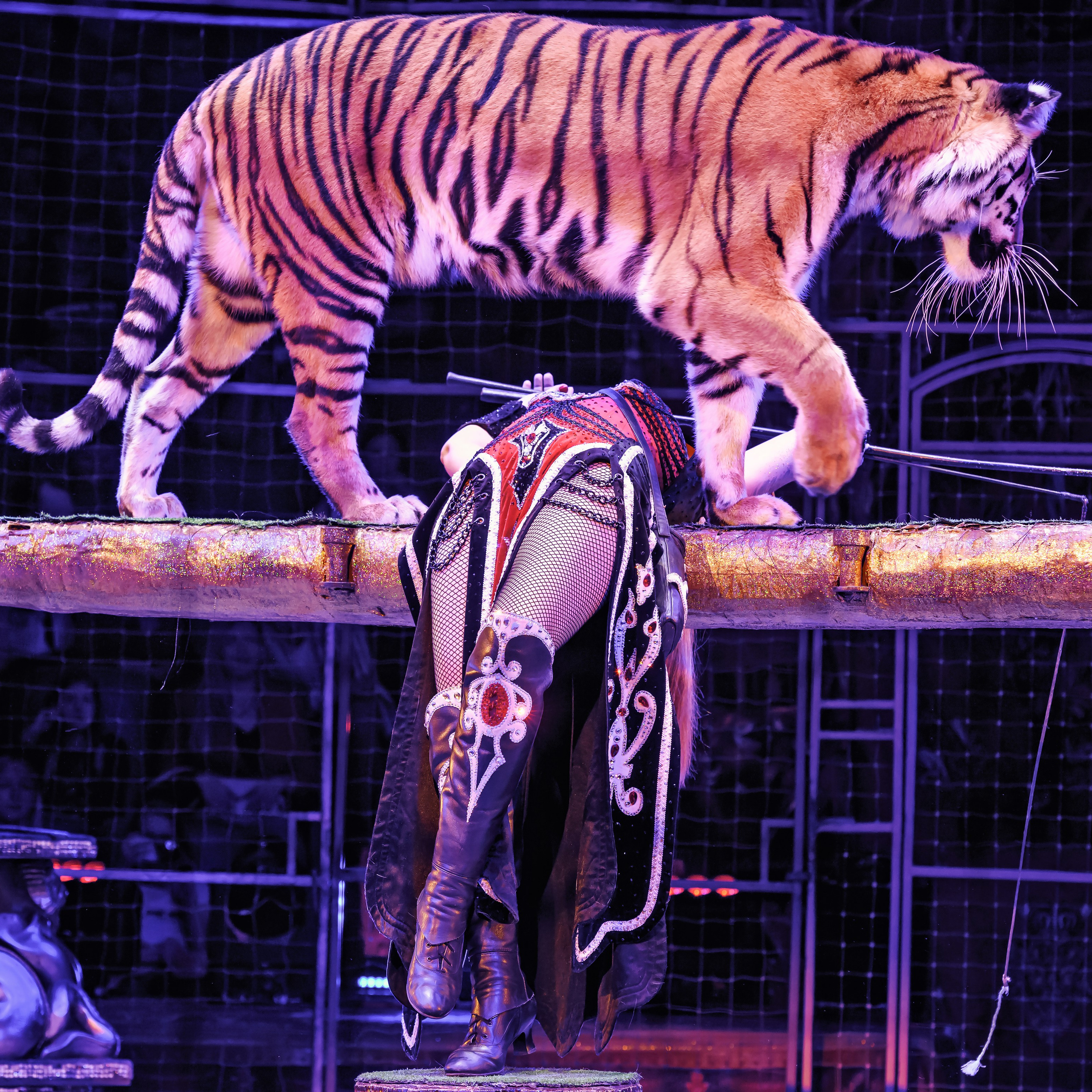 Шоу «Королевский цирк». Фотограф Андрей Пухов (Jazz)