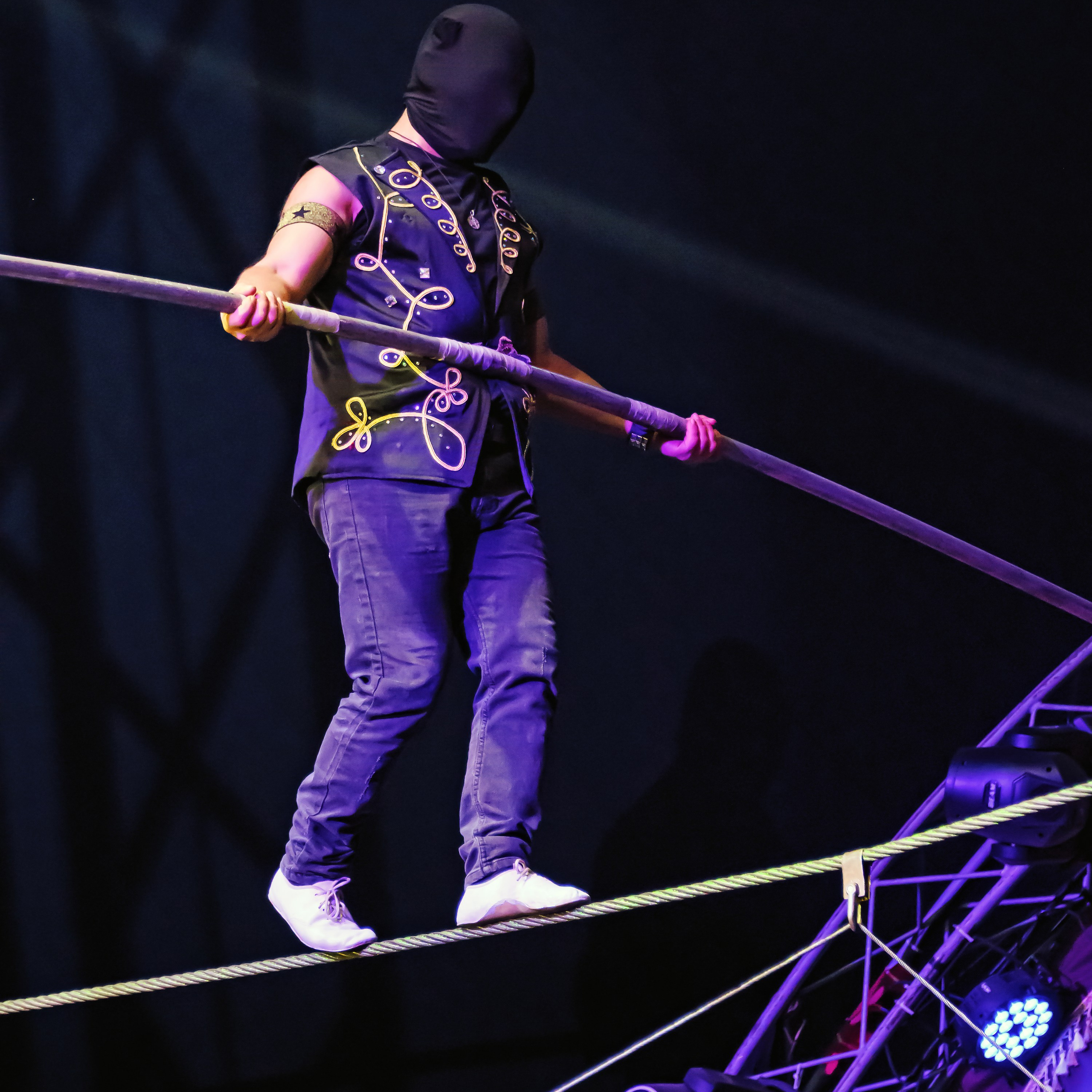 Шоу Демидовых. Цирковой фотограф Андрей Пухов (Jazz)