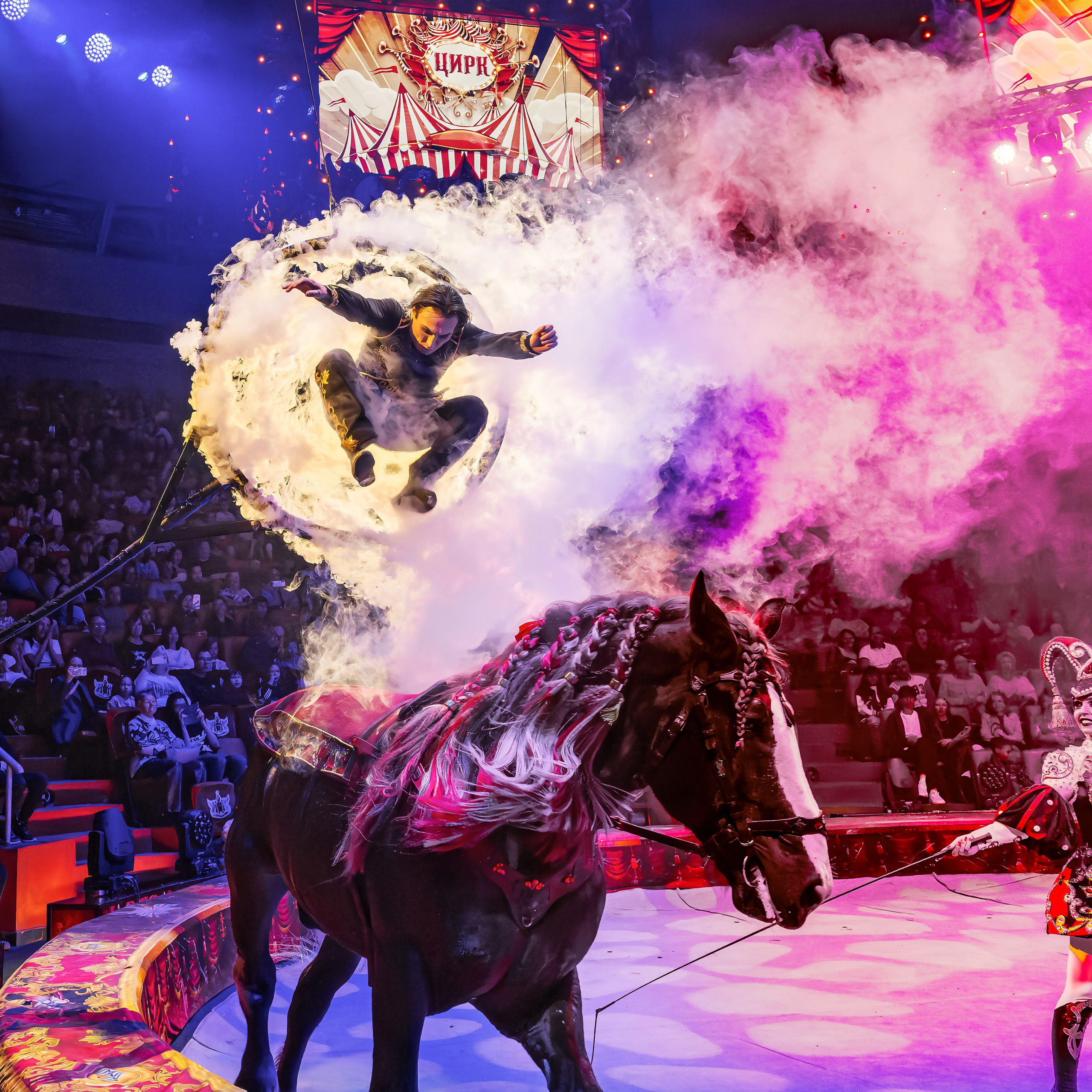 Royal Circus (новые номера). Фотограф Андрей Пухов (Jazz)