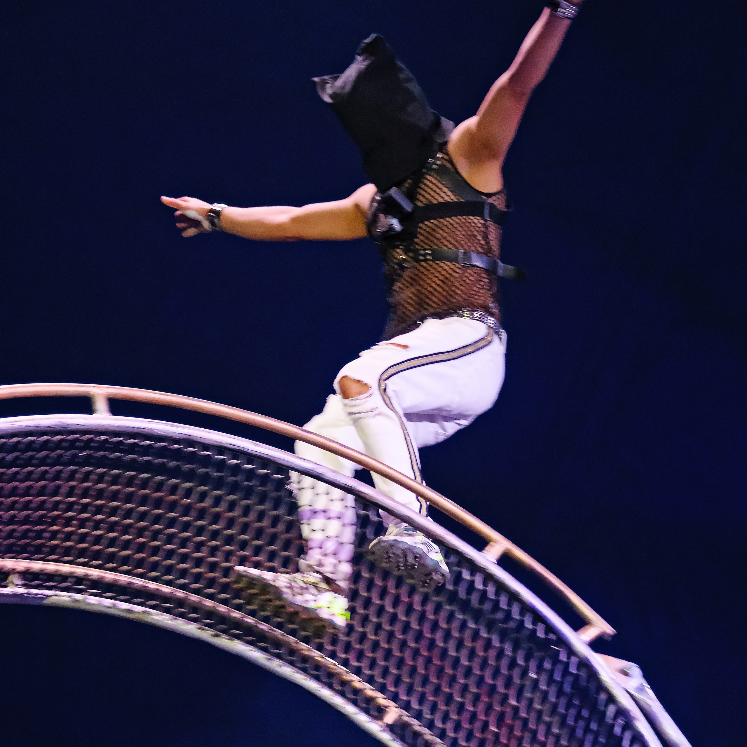 Шоу Демидовых. Цирковой фотограф Андрей Пухов (Jazz)