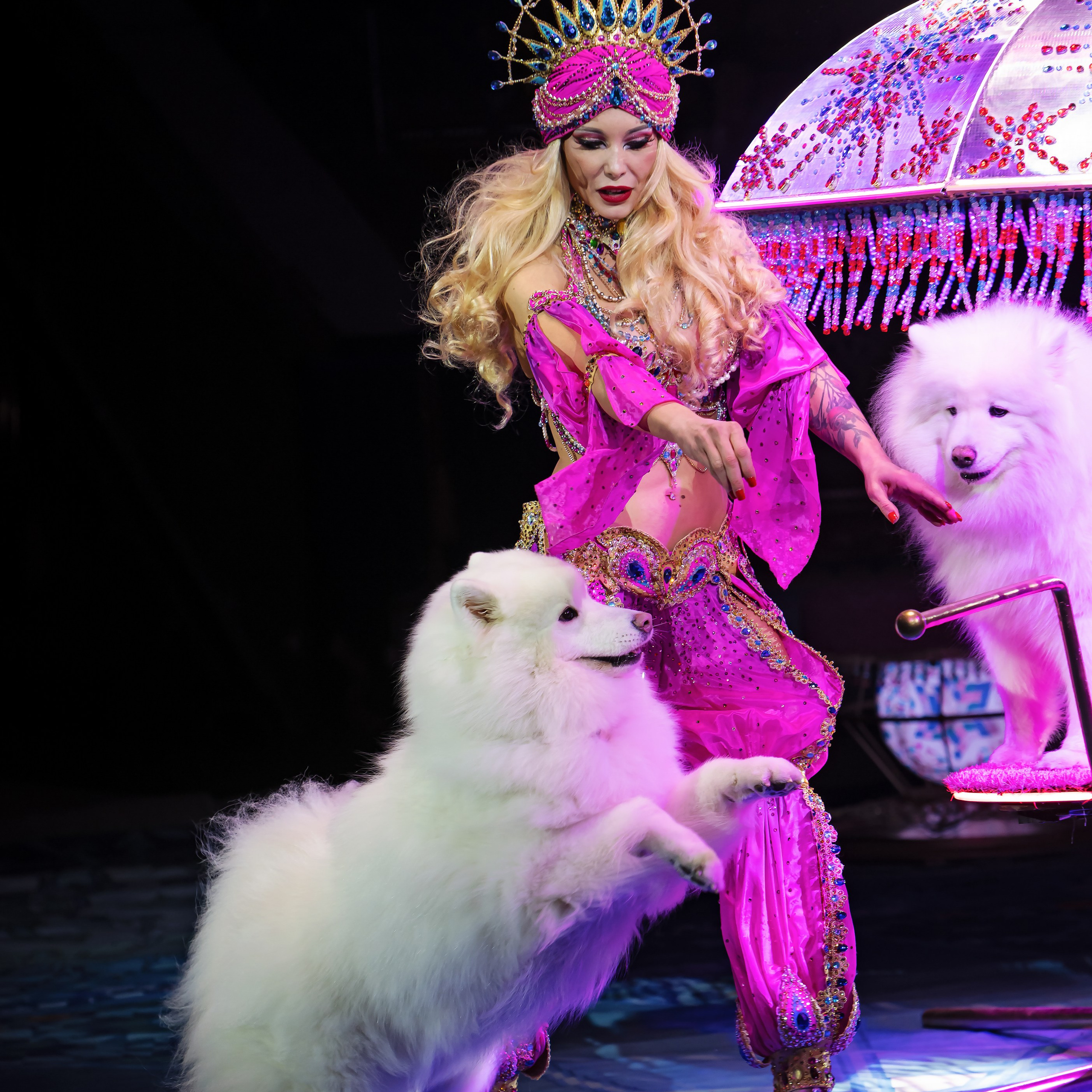 Песчаная сказка — Нижегородский Государственный Цирк (Премьера). Цирковой фотограф Андрей Пухов (Jazz)