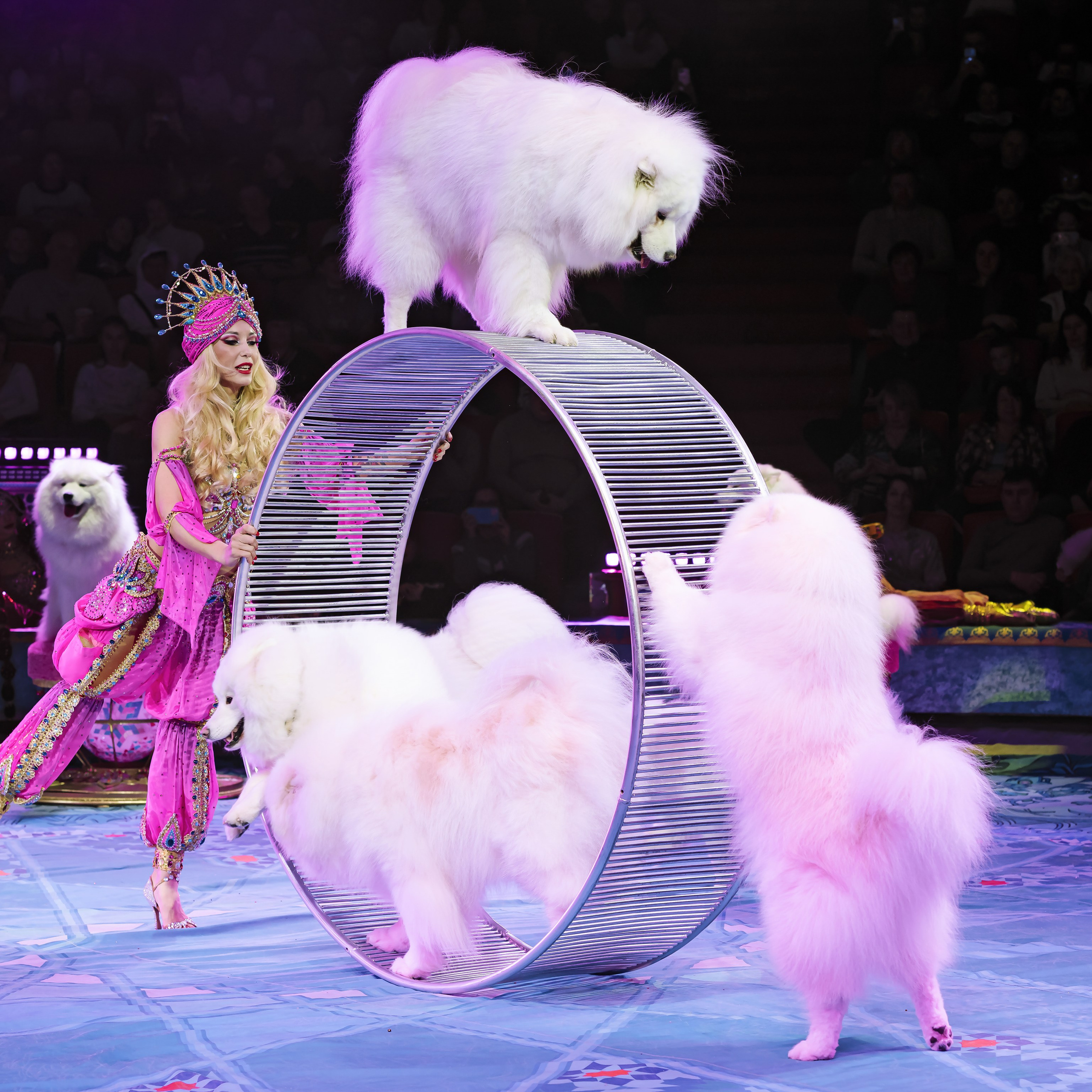 Песчаная сказка — Нижегородский Государственный Цирк (Премьера). Цирковой фотограф Андрей Пухов (Jazz)