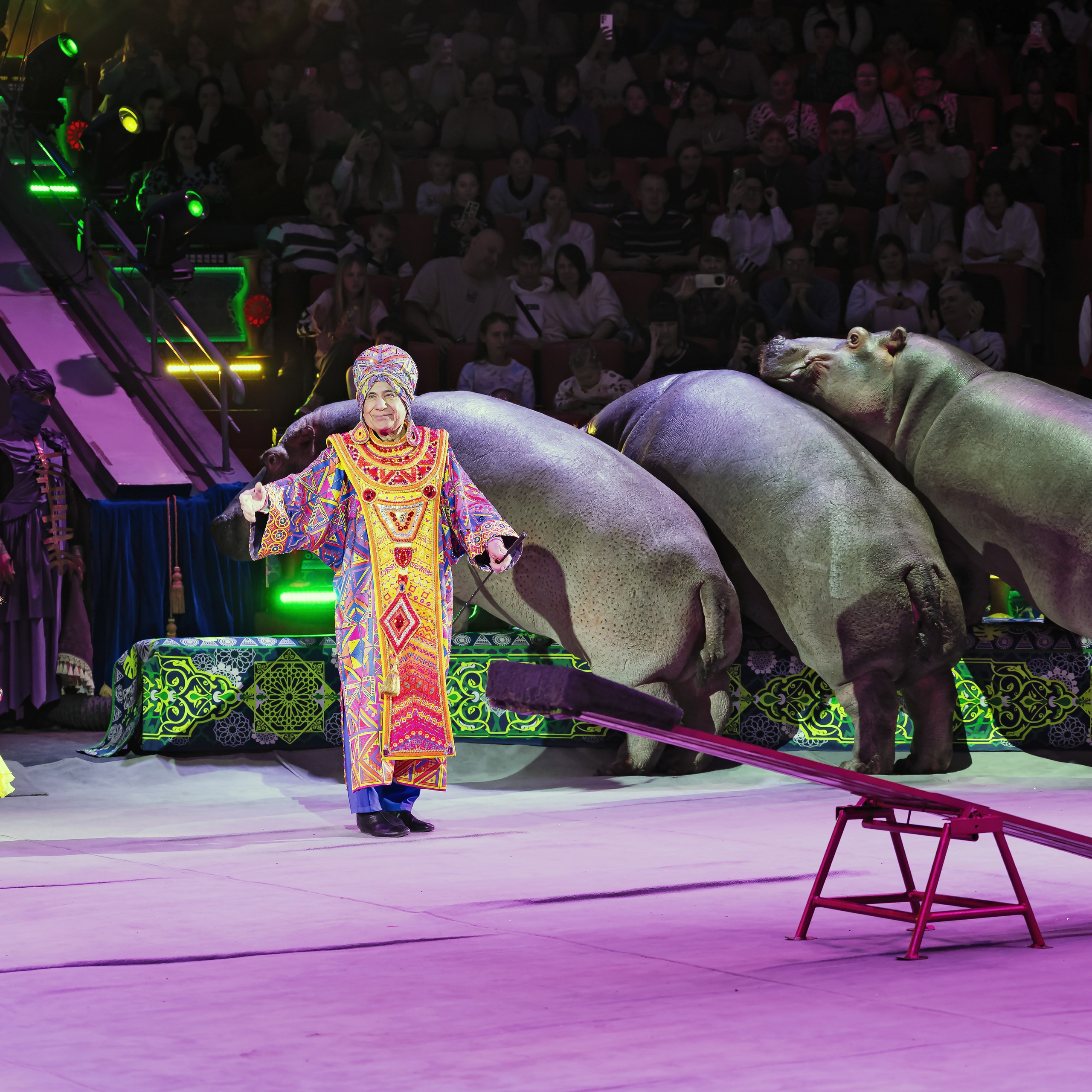 Песчаная сказка — Нижегородский Государственный Цирк (Премьера). Цирковой фотограф Андрей Пухов (Jazz)