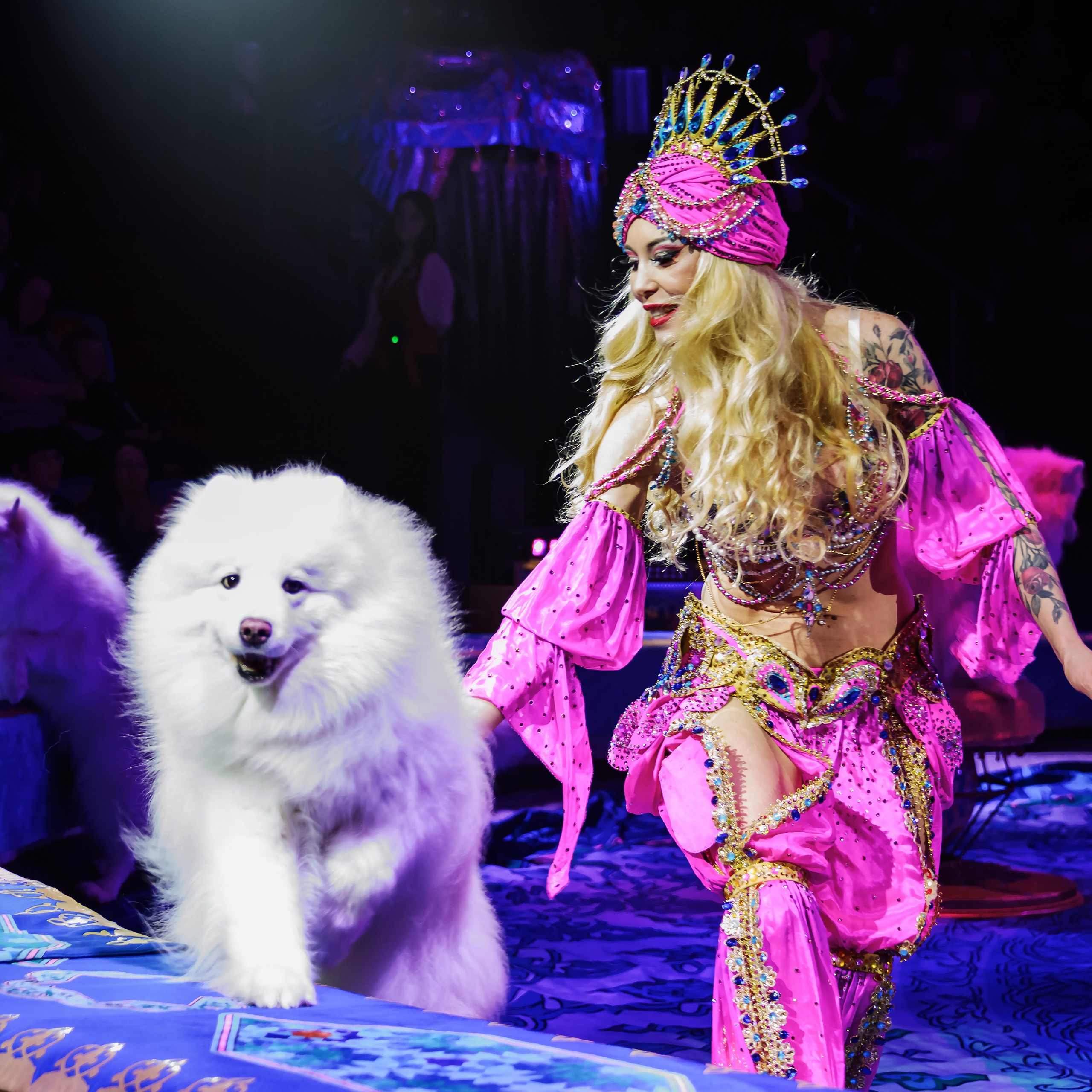 Песчаная сказка Гии Эрадзе — волшебное шоу 🎪, которое должен увидеть каждый, кто ценит красоту🌹, талант 🎭 и умение мечтать 💫. Цирковой фотограф Андрей Пухов (Jazz)