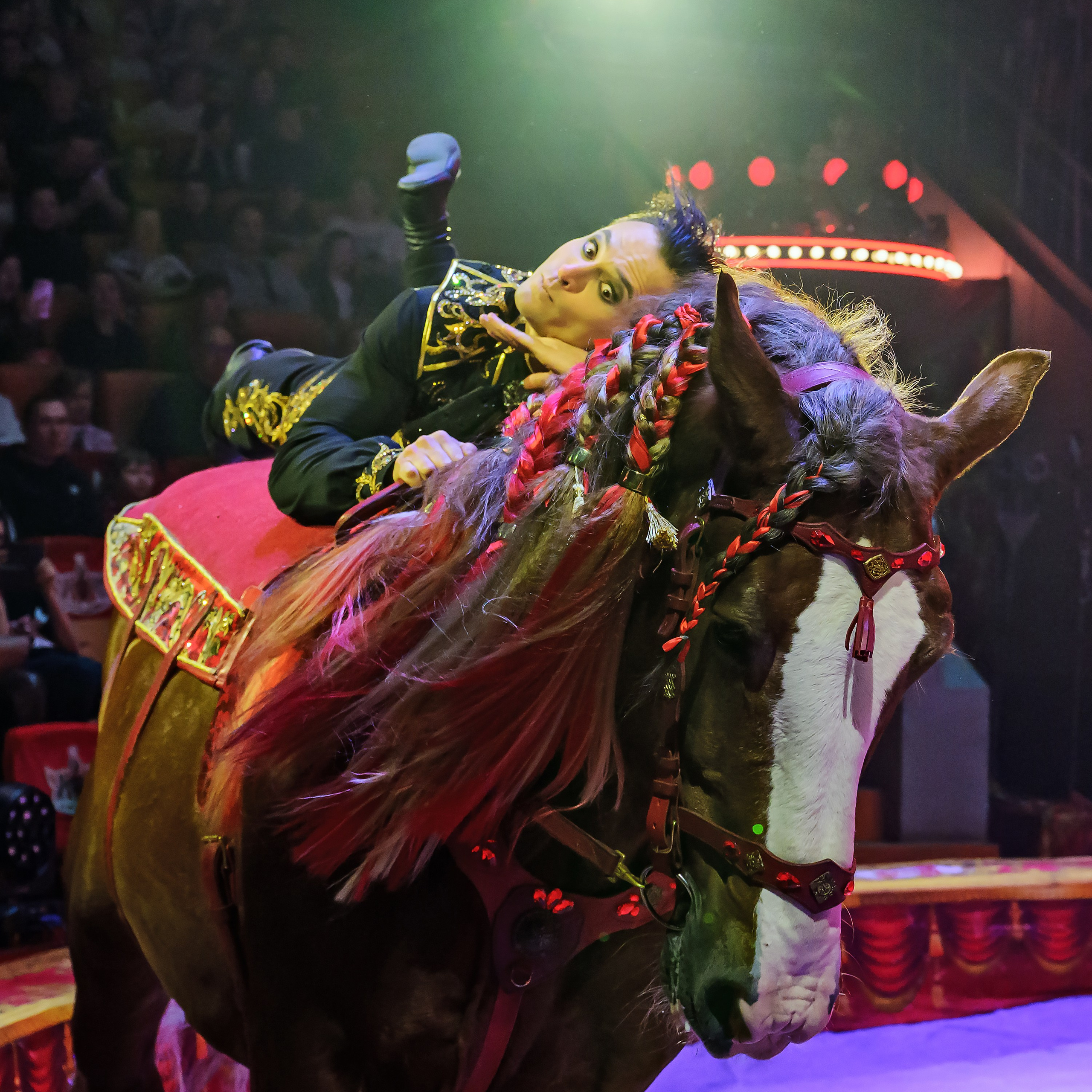 Royal Circus (новые номера). Фотограф Андрей Пухов (Jazz)